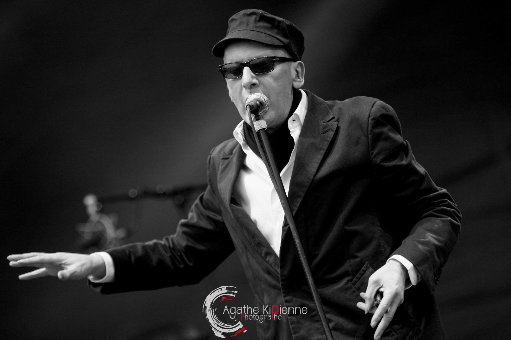 Alain BASHUNG / Fête de l'humanité