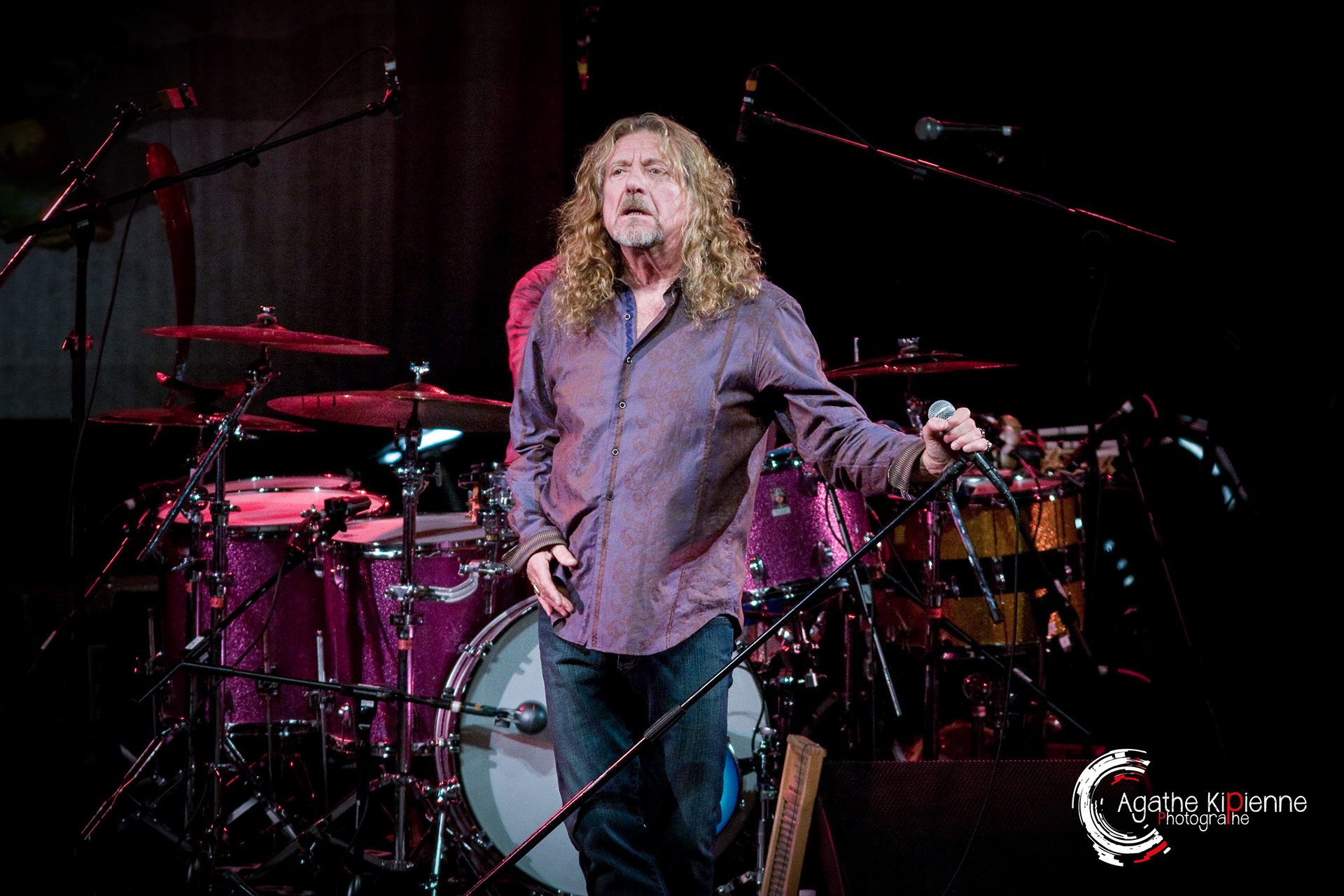 Robert PLANT / Palais des sports