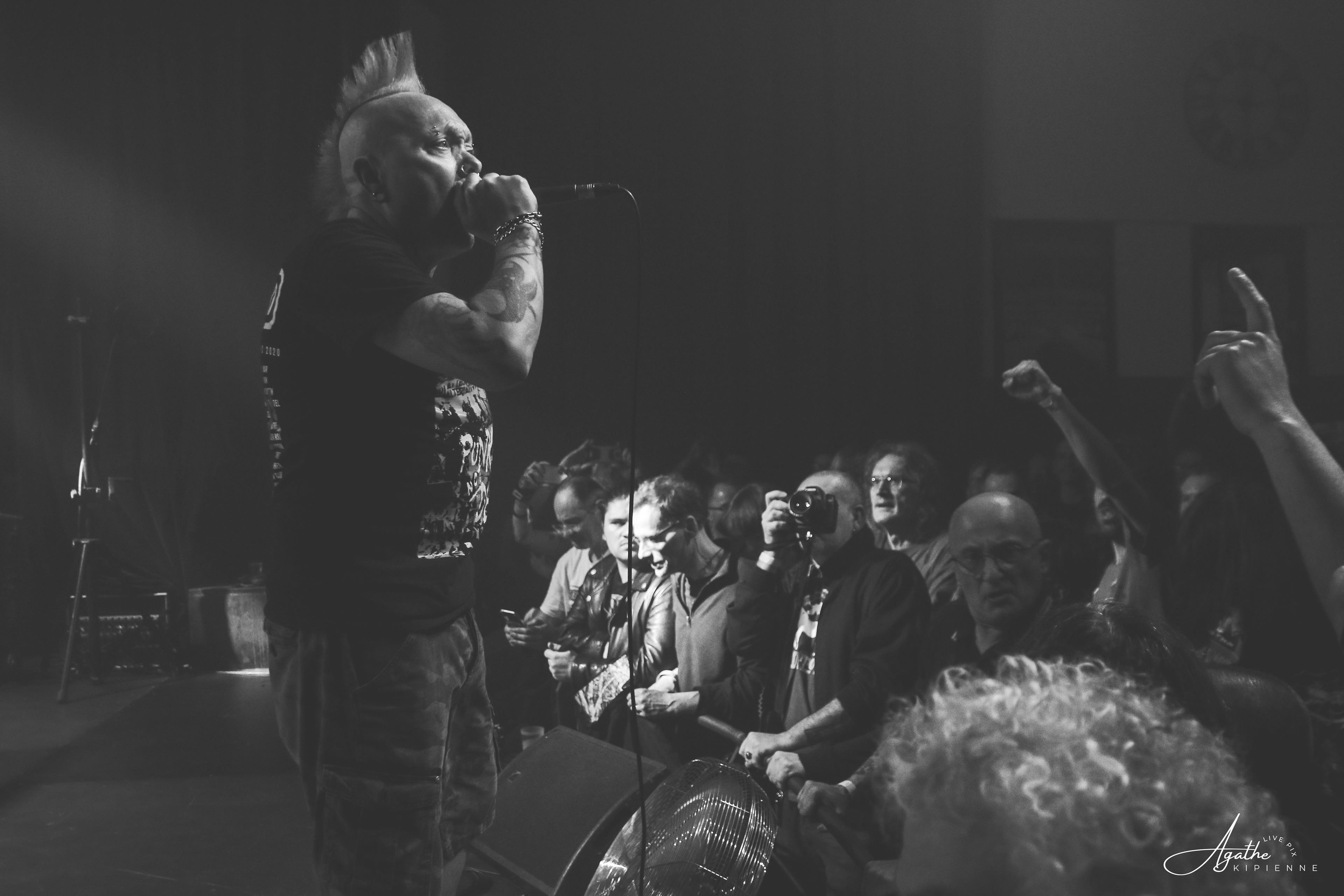 THE EXPLOITED // La puce à l'oreille