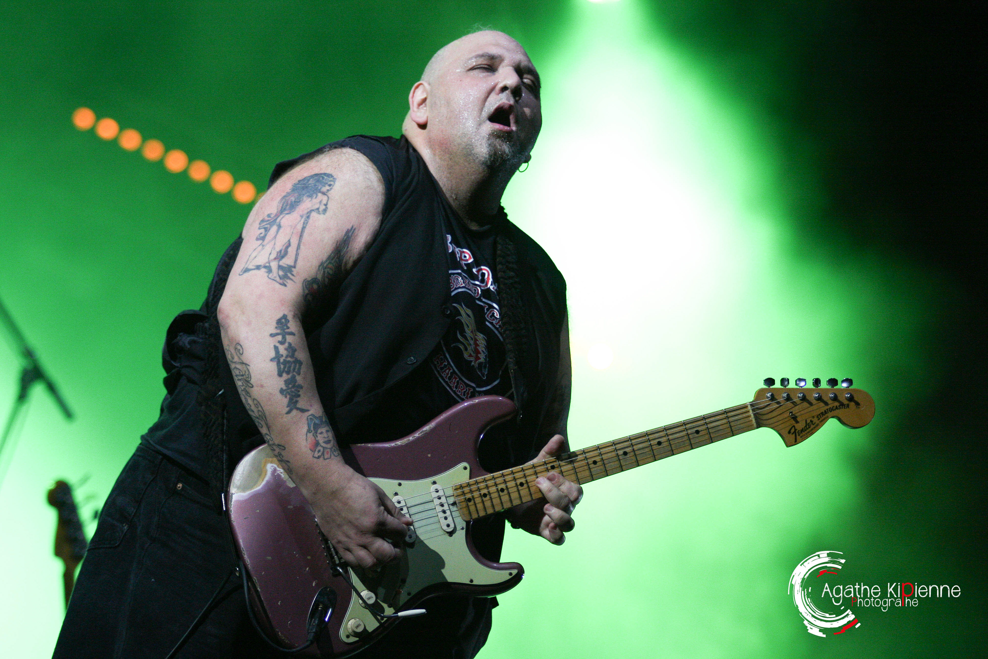 Popa CHUBBY / Free Wheels