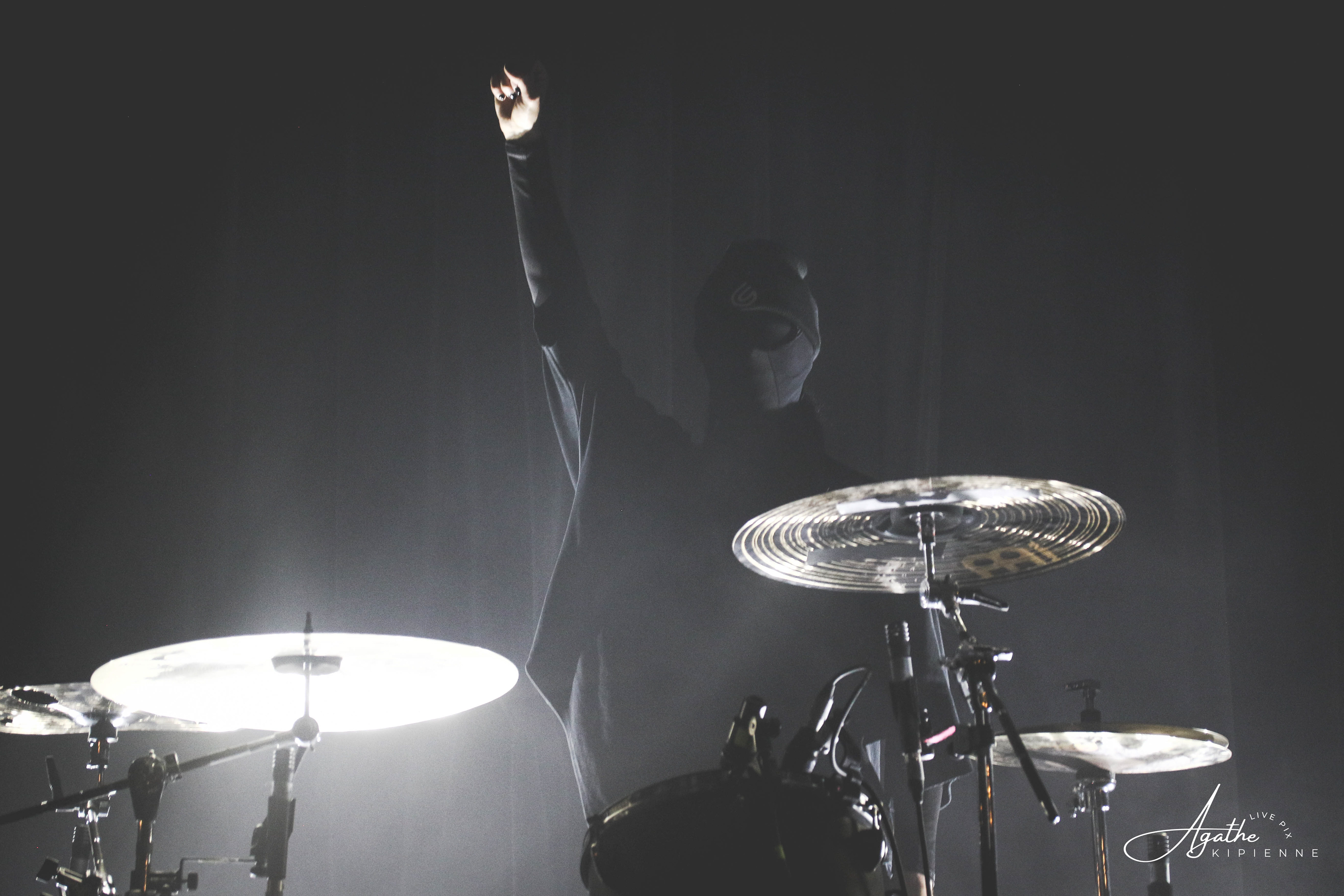 SOLITARIS // Puce à l'oreille