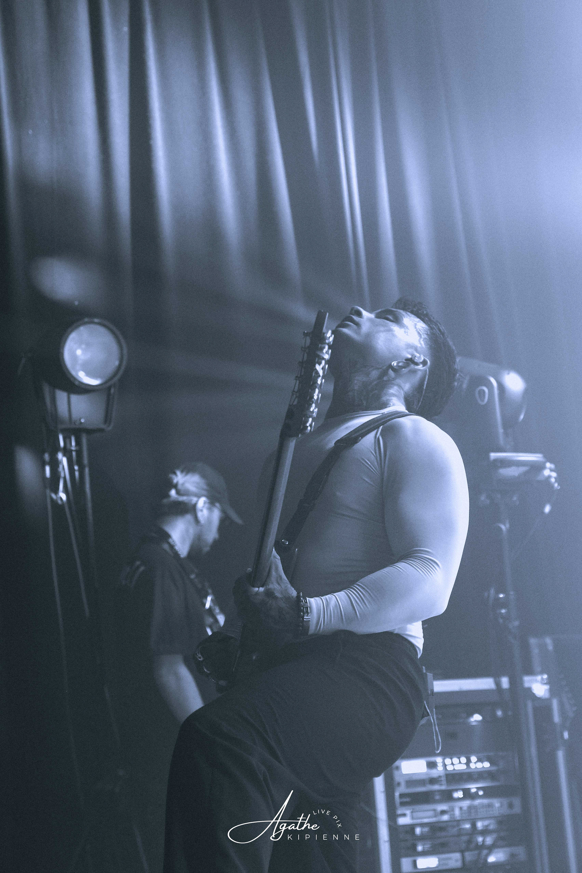 TEN56. // Puce à l'oreille