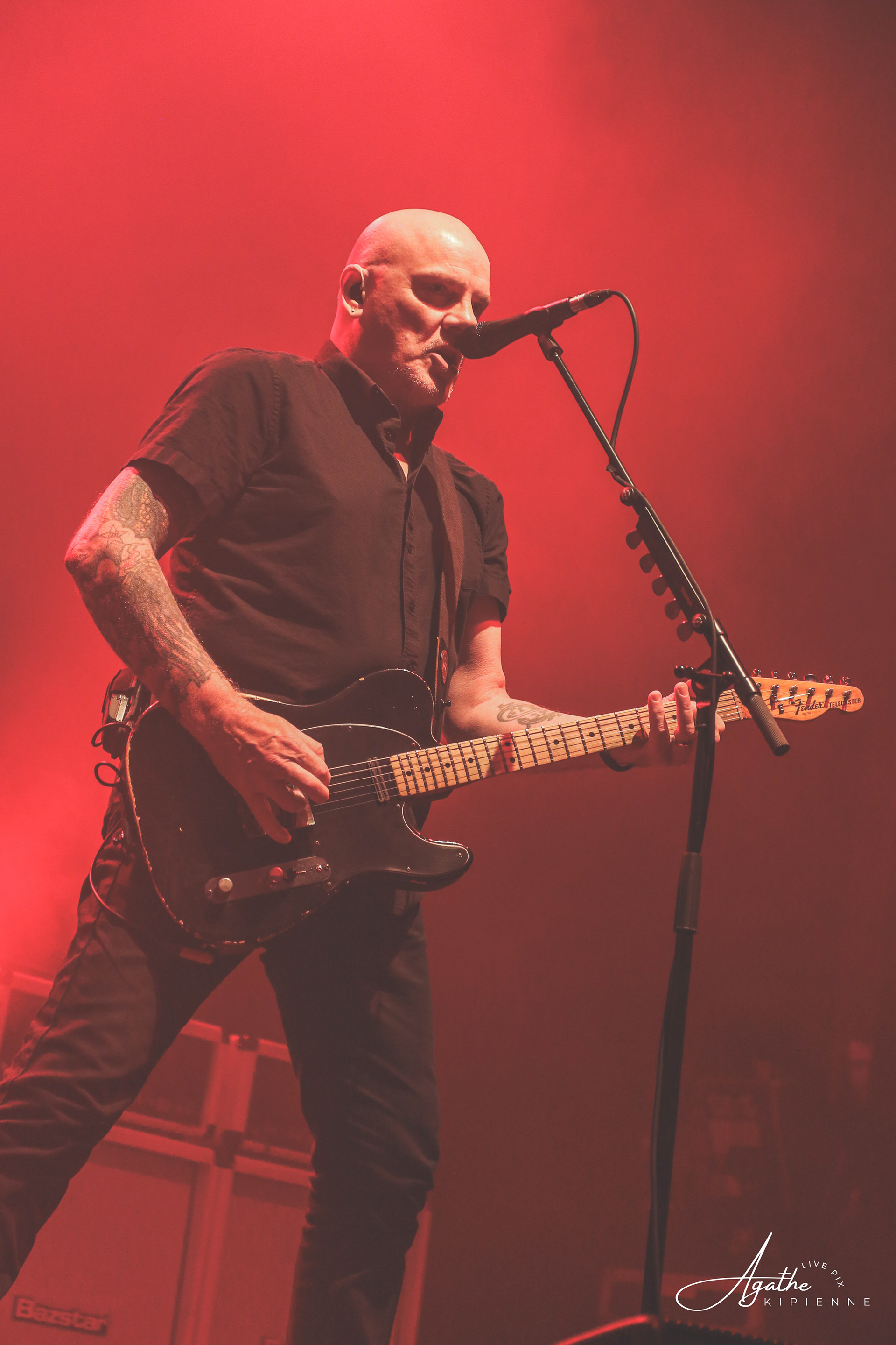 THE STRANGLERS // Coopérative de mai