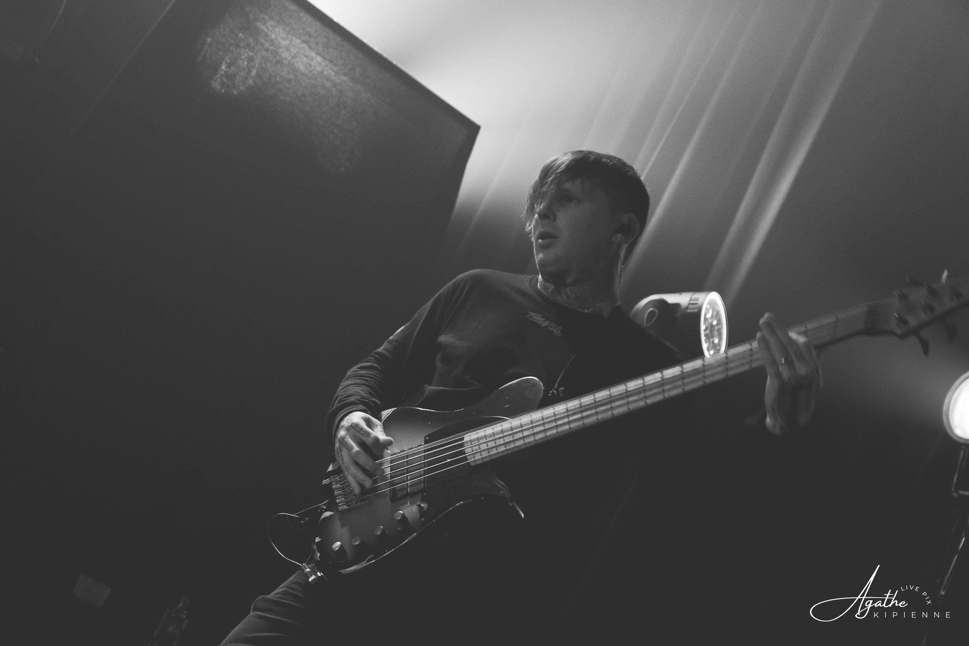 DALI // Puce à l'oreille