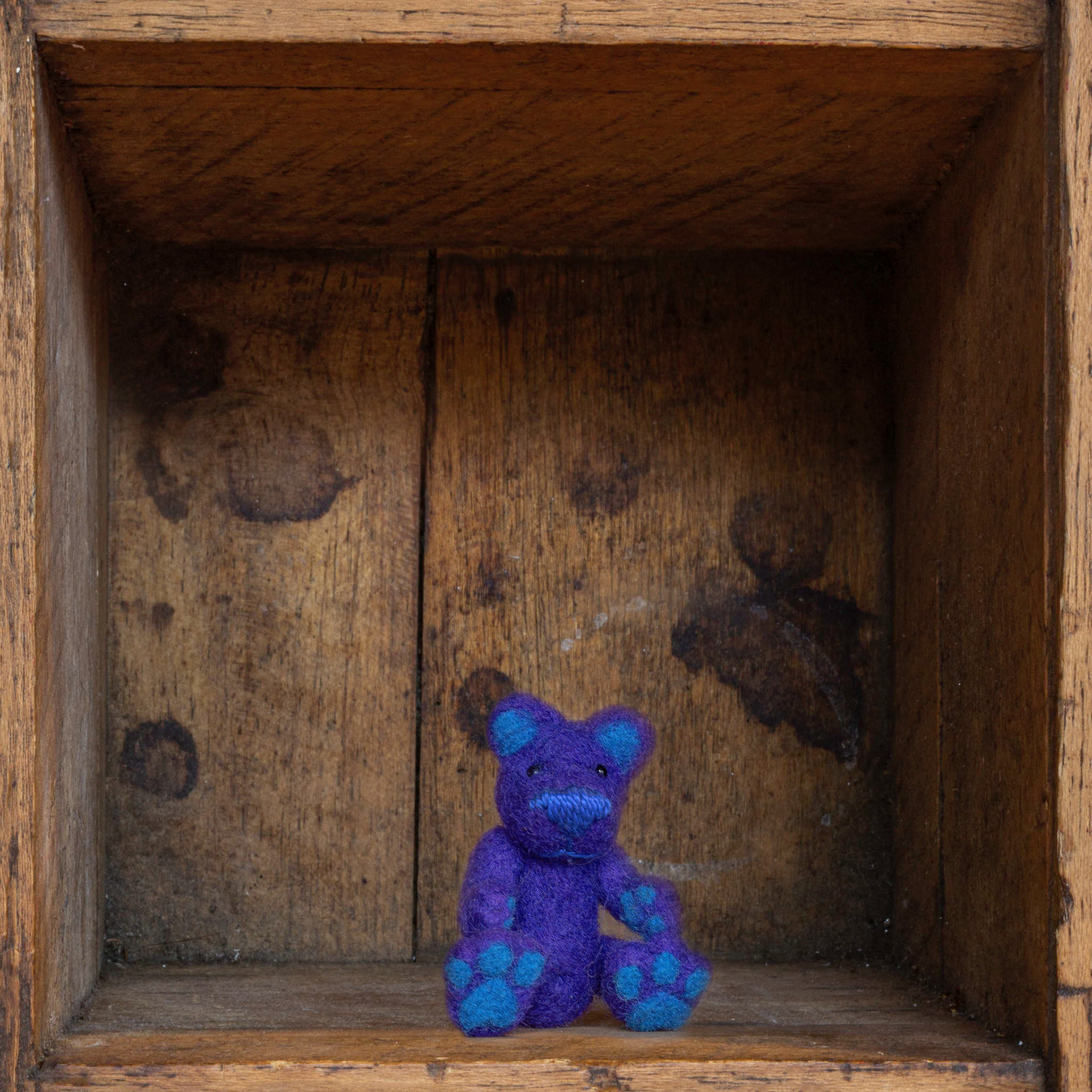 Violet Ted