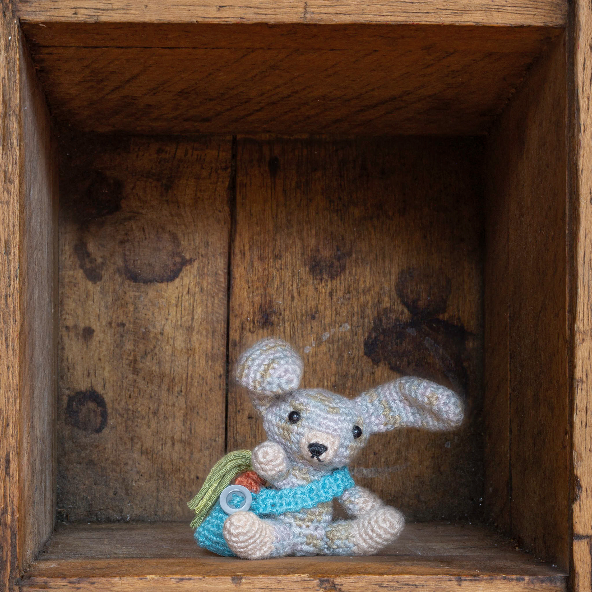 Bunny courier