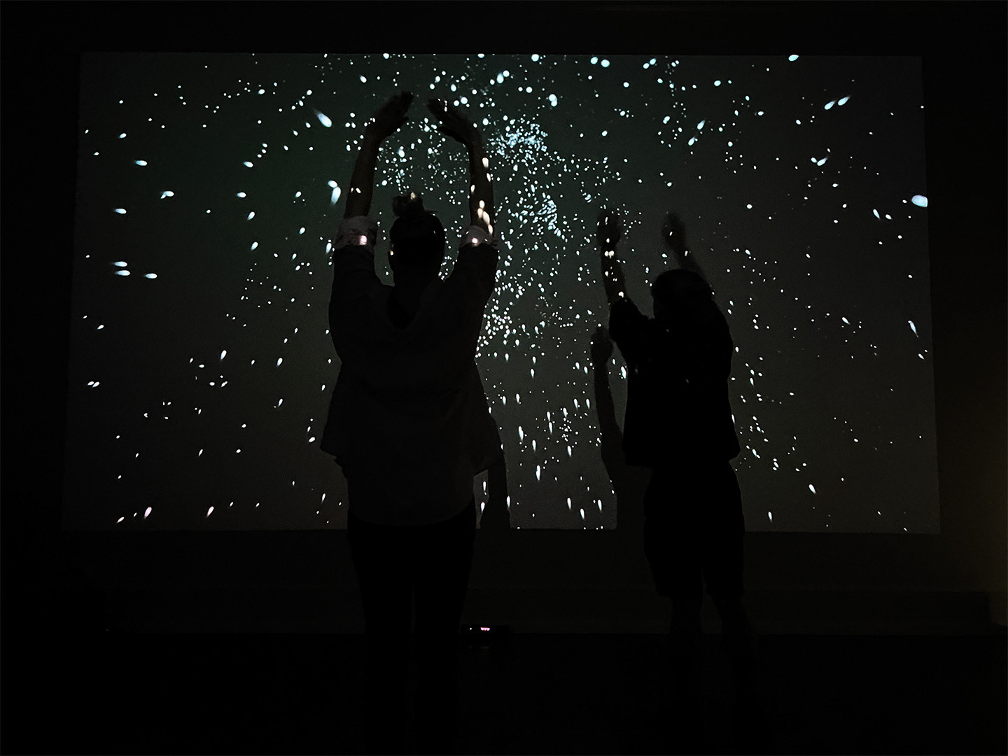 Image: Adam Hsieh, 'a possible island,' 2022, 'Hatched: National Graduate Show 2023,' installation view, Perth Institute of Contemporary Arts, 2023, image courtesy of the artist
