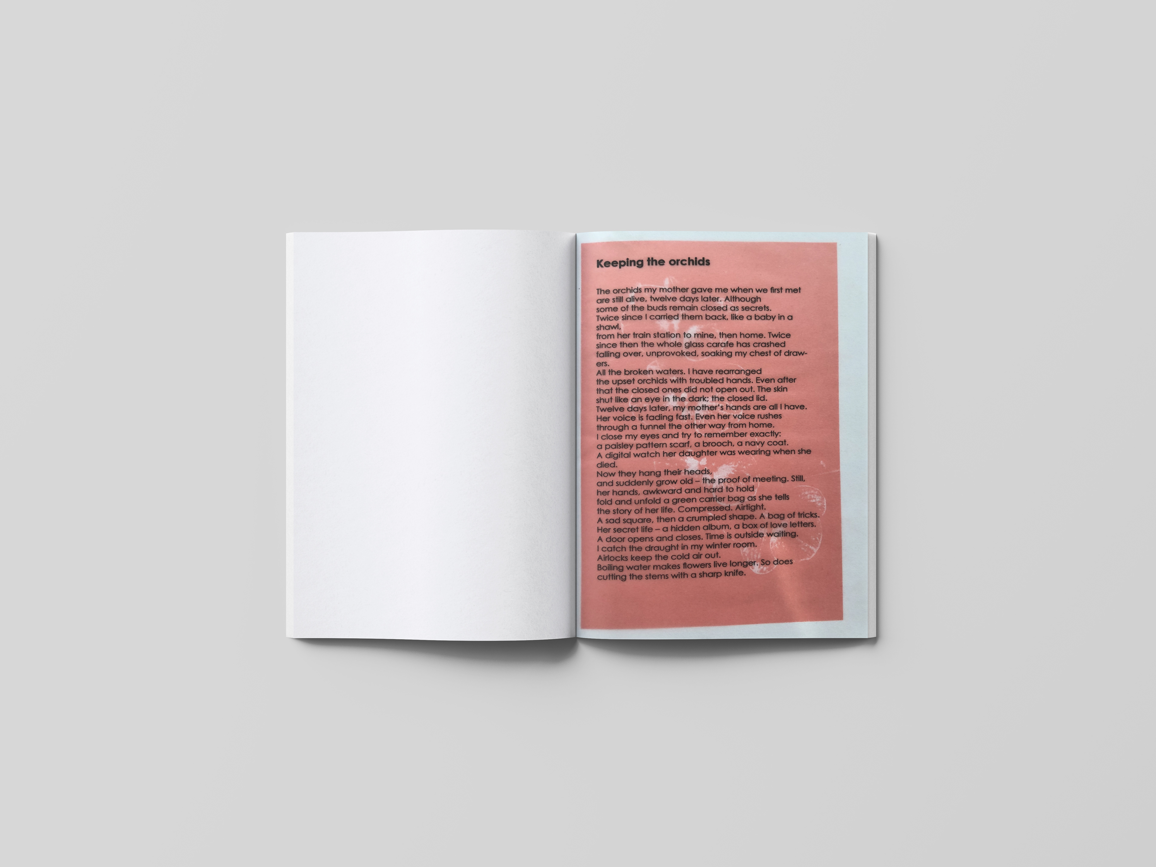 Text printed on tracing paper over a riso print