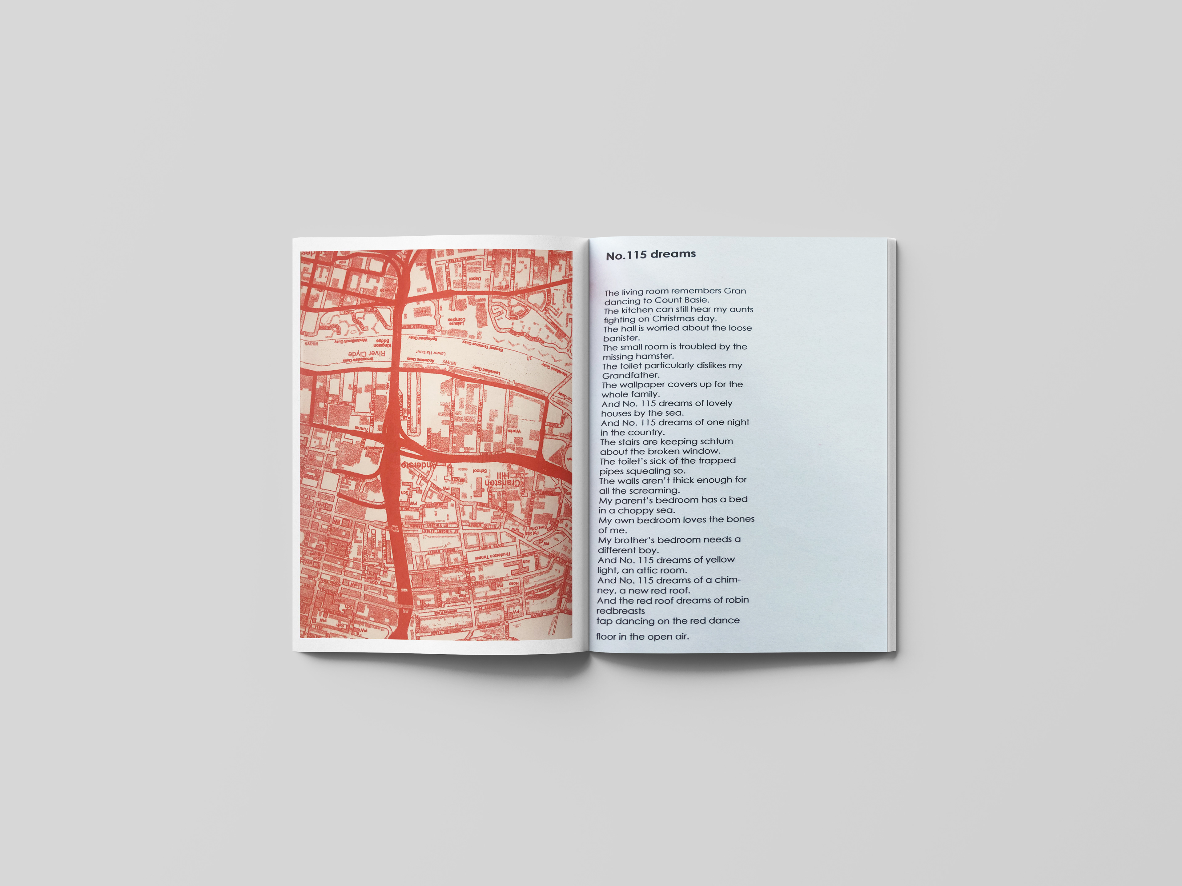Riso printed map, back of the page