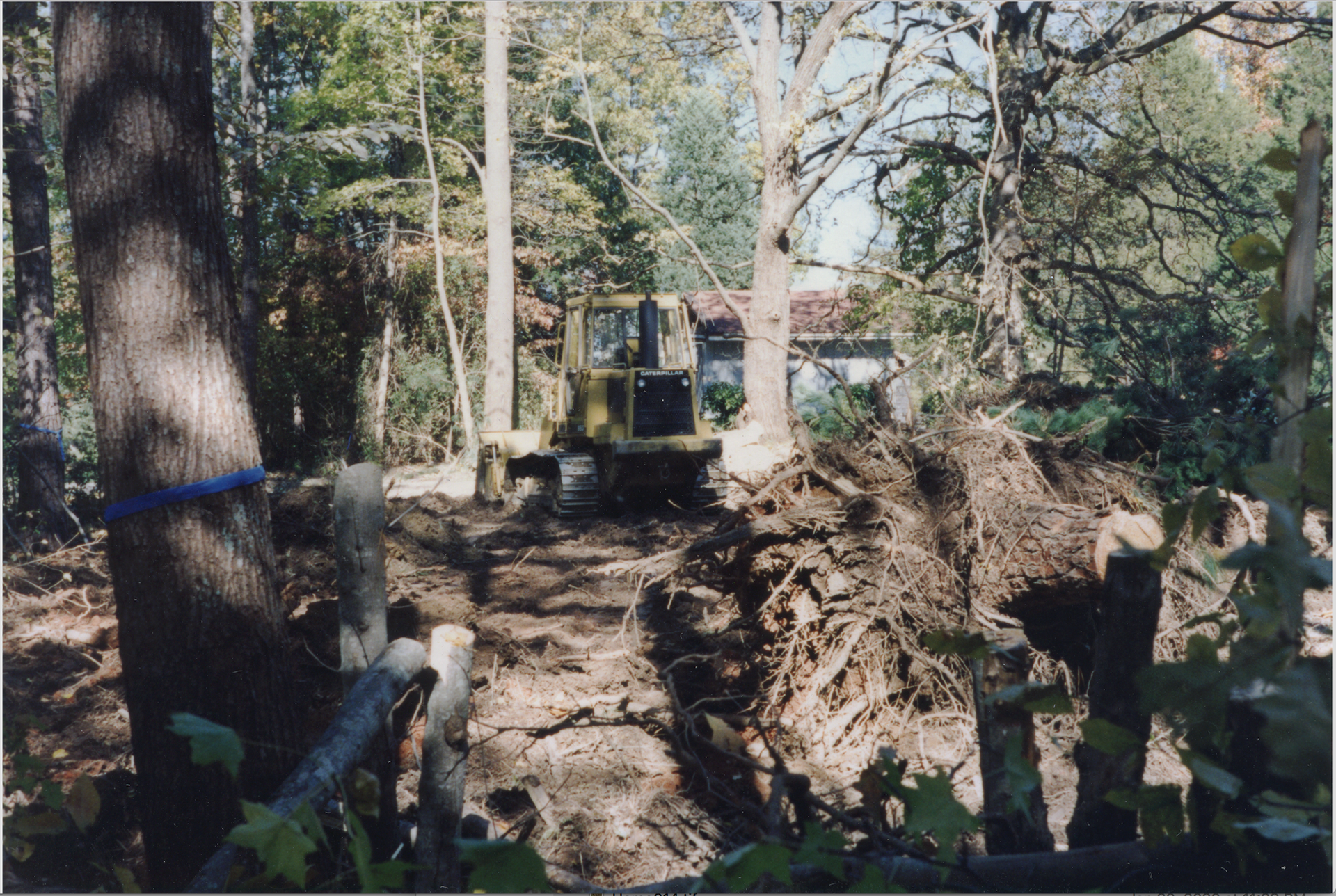 Untitled, 1996