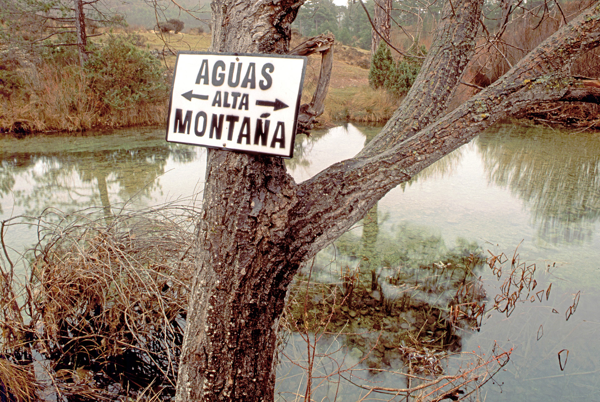 El río Cabriel, cerca de la cascada del molino de San Pedro.