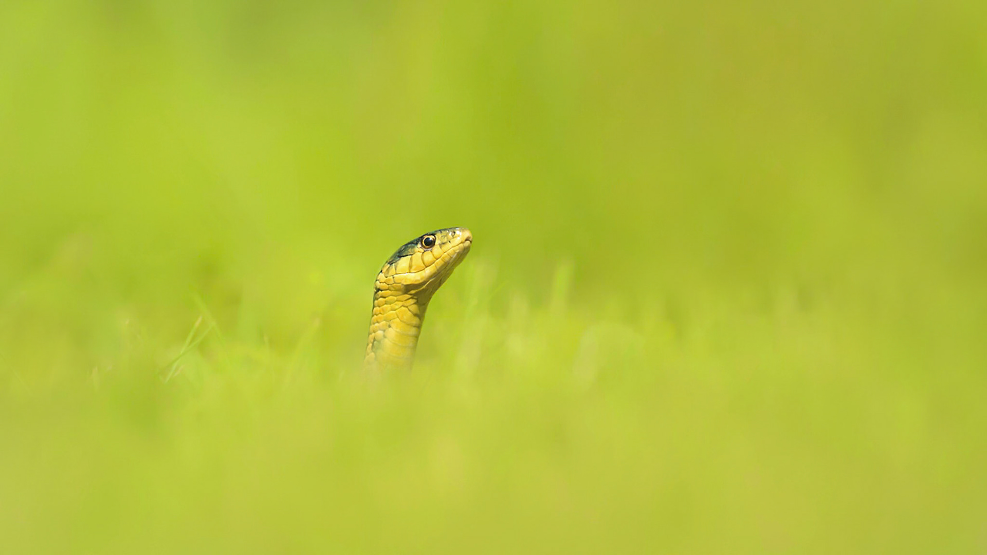 500px Photo ID: 159191499 -