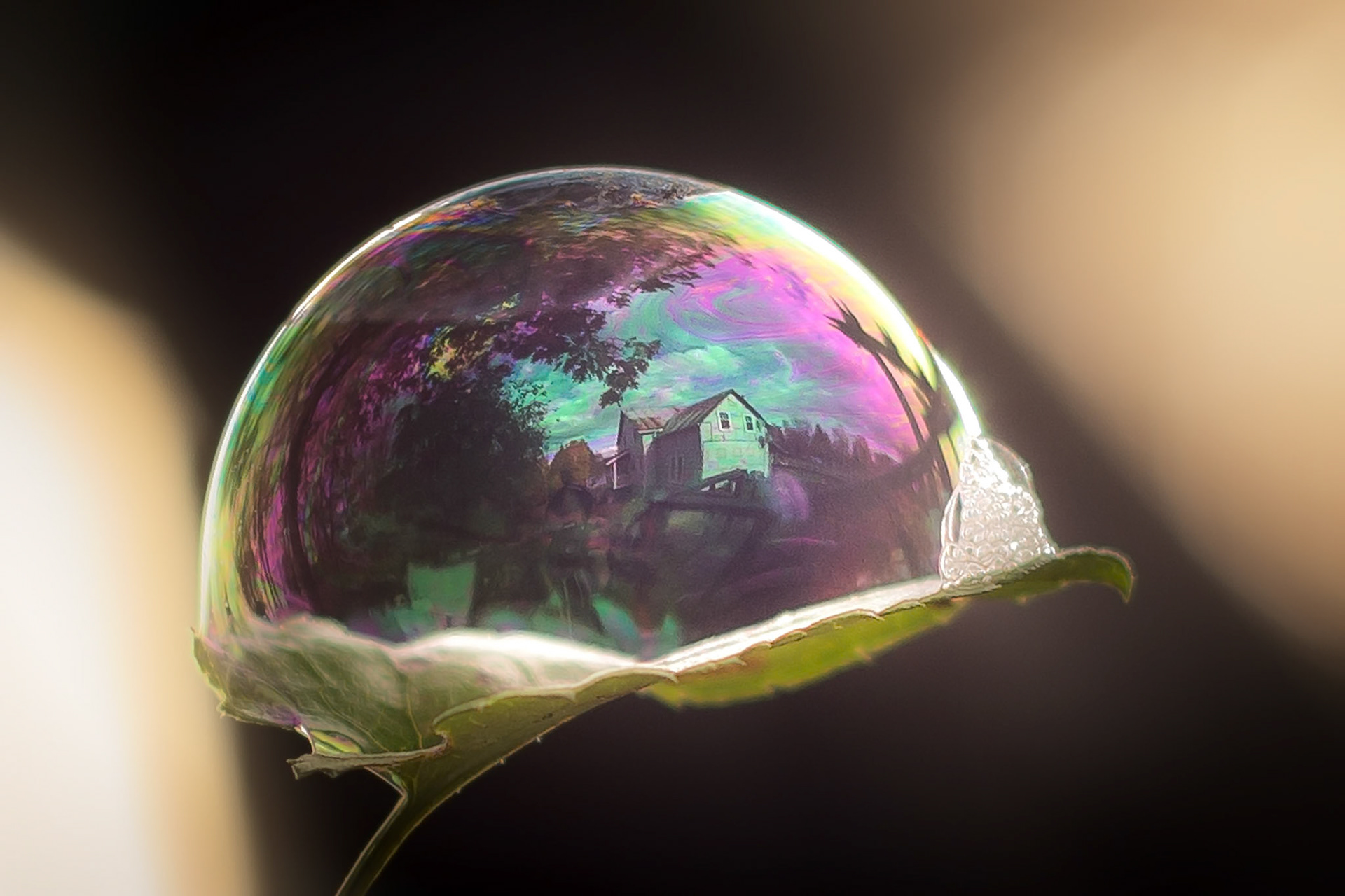 500px Photo ID: 86348225 -