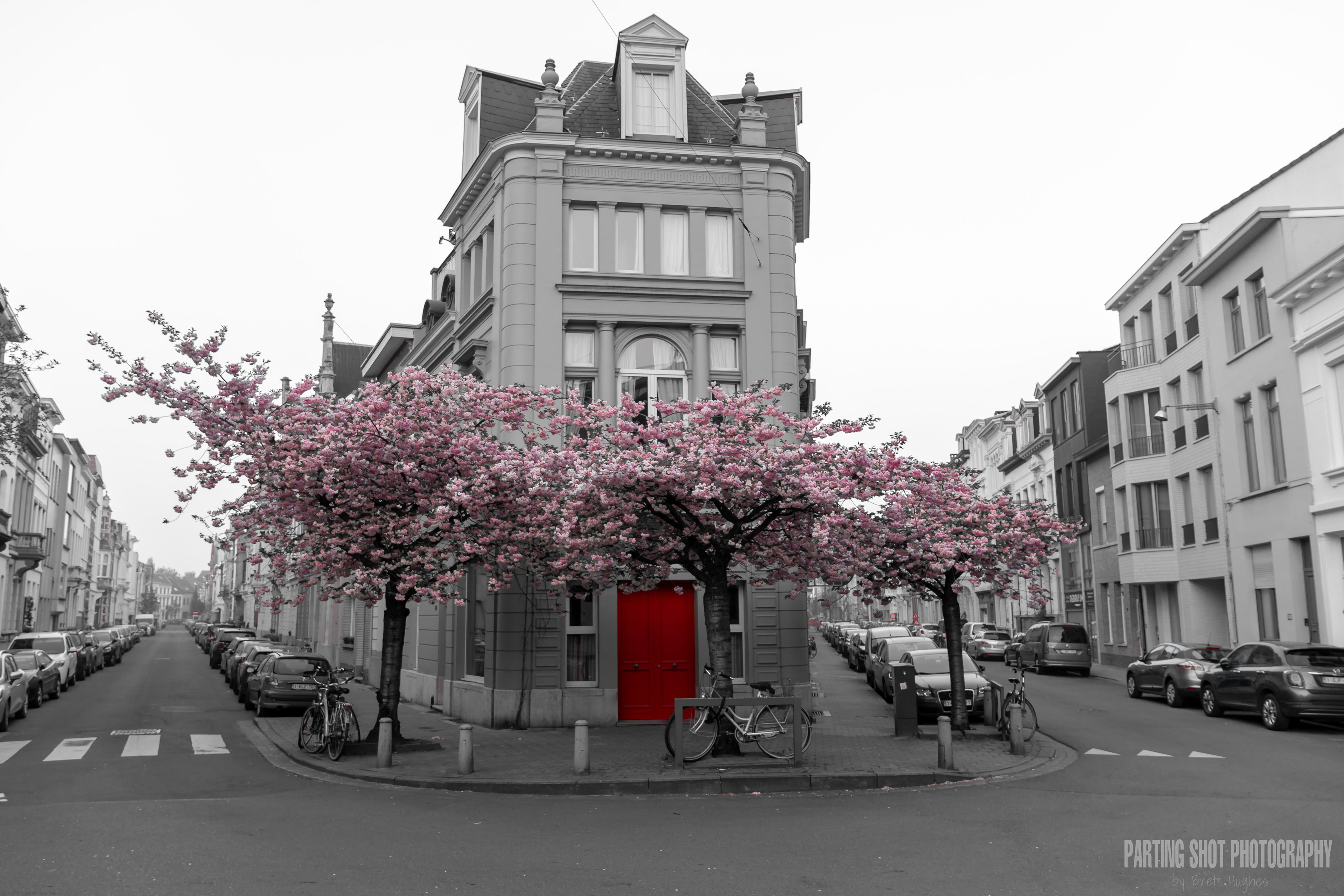 Red Door