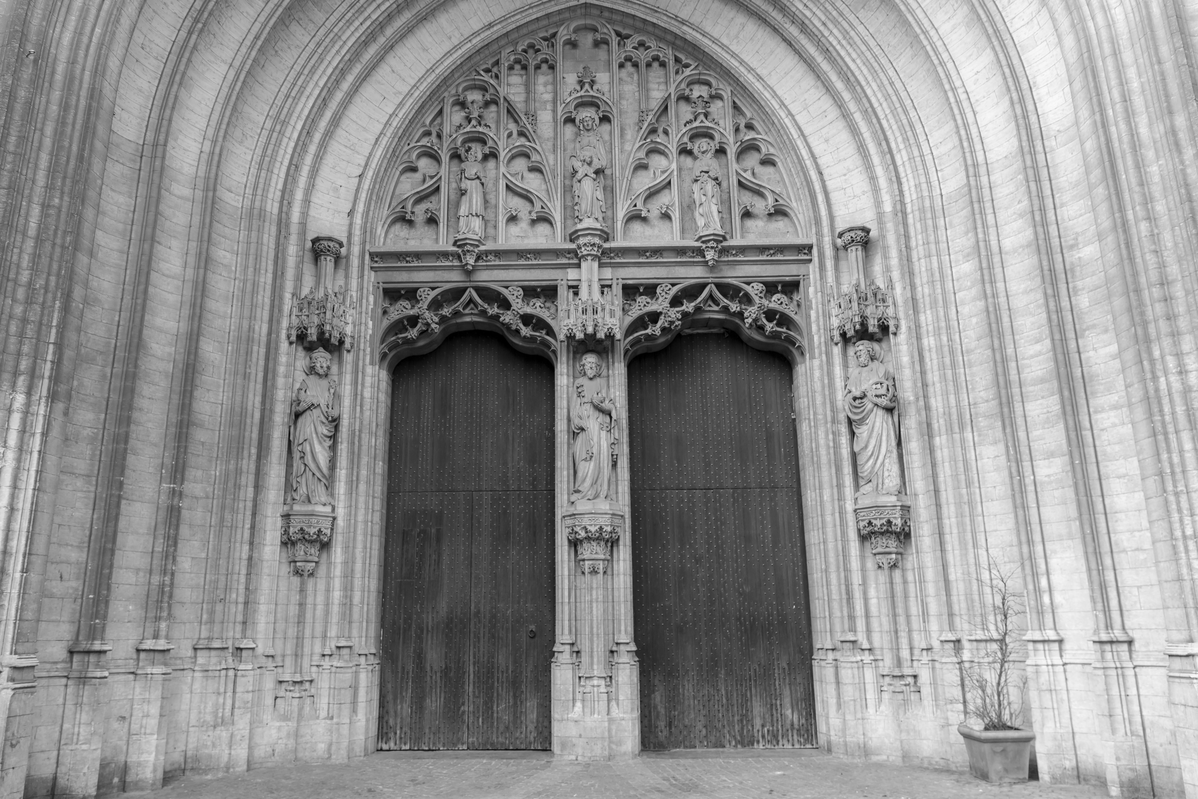 Kathedraal Doors