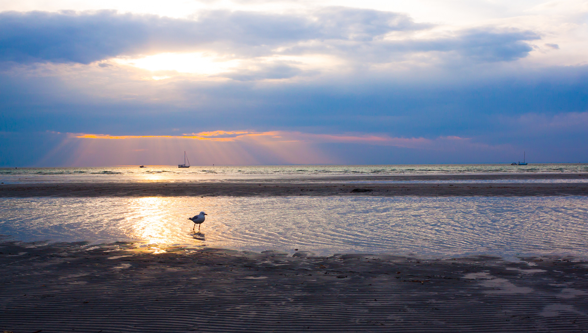 Wading - Walaroo