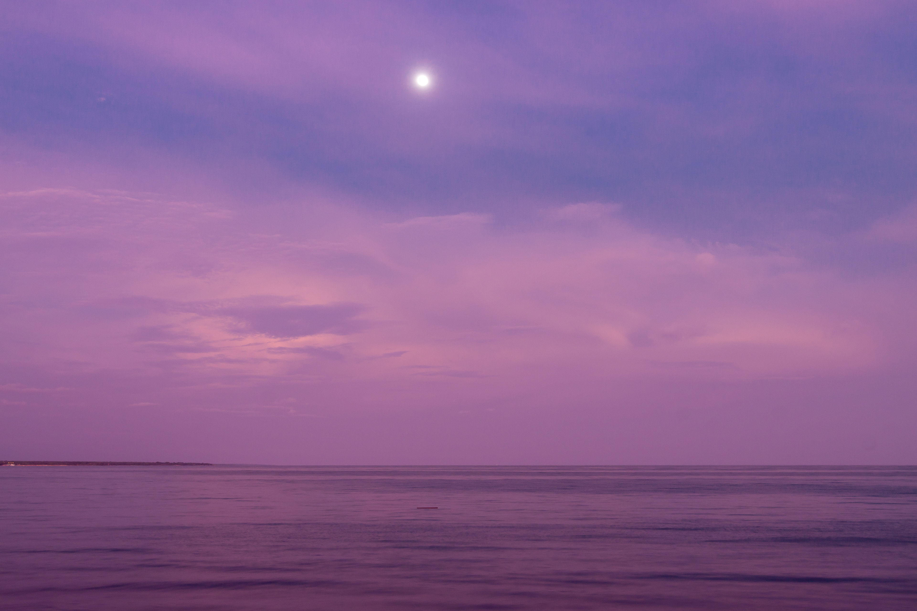 Driftwood on Dawn
