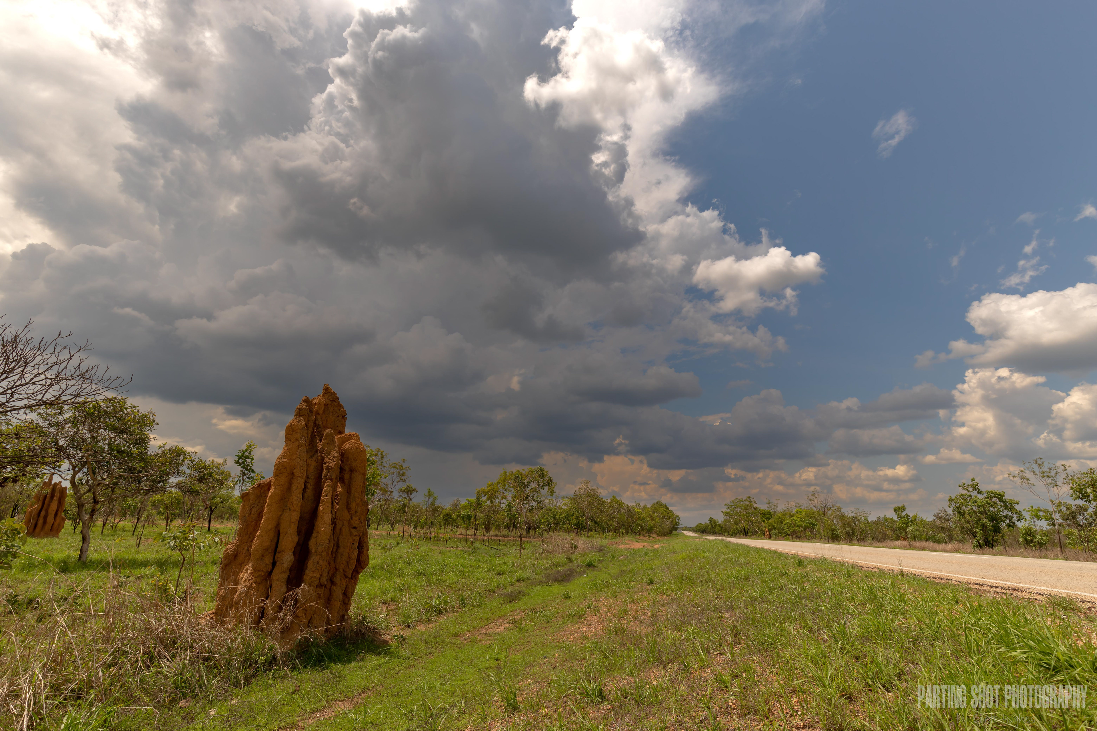 Termites and Tempest