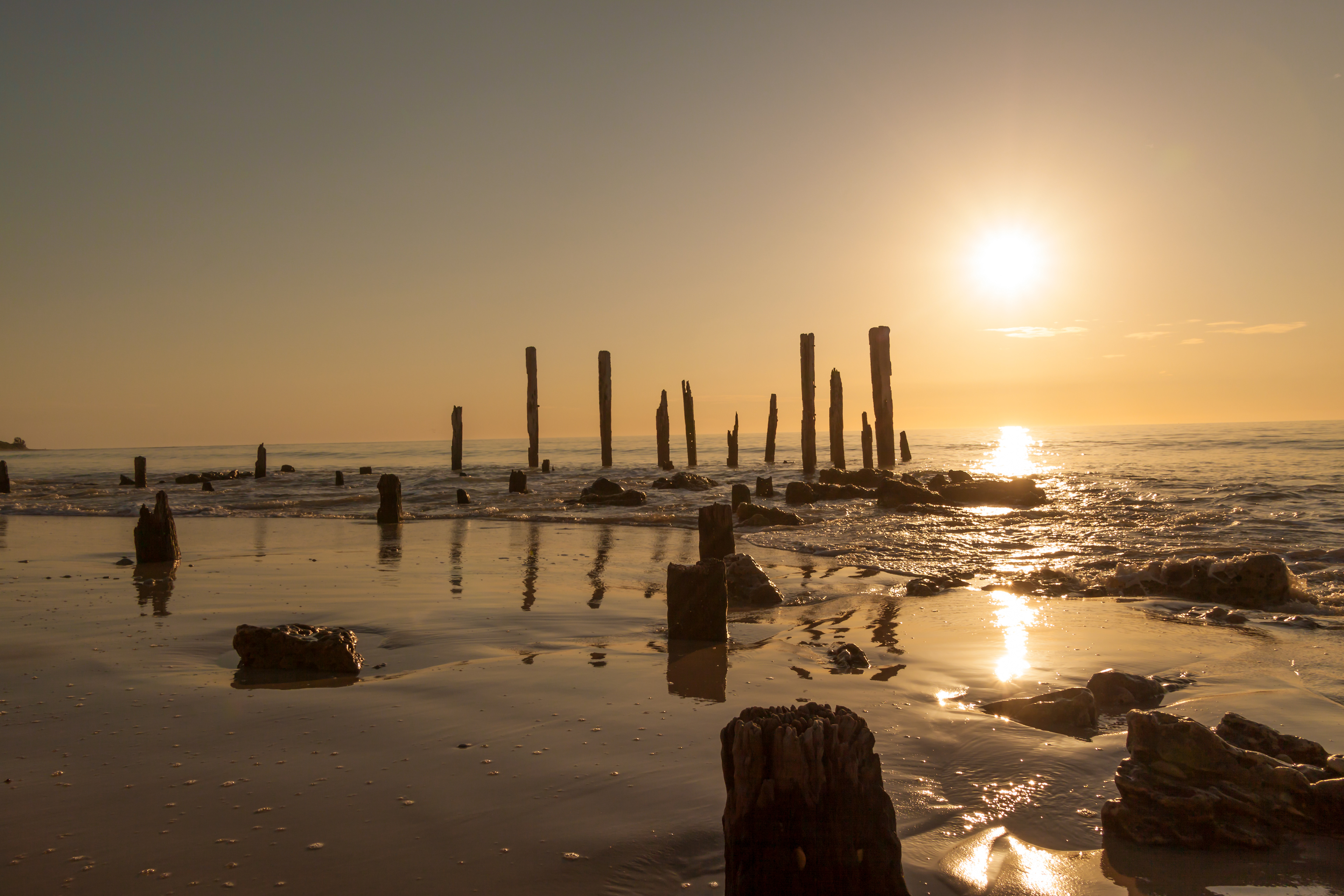 Golden Glow