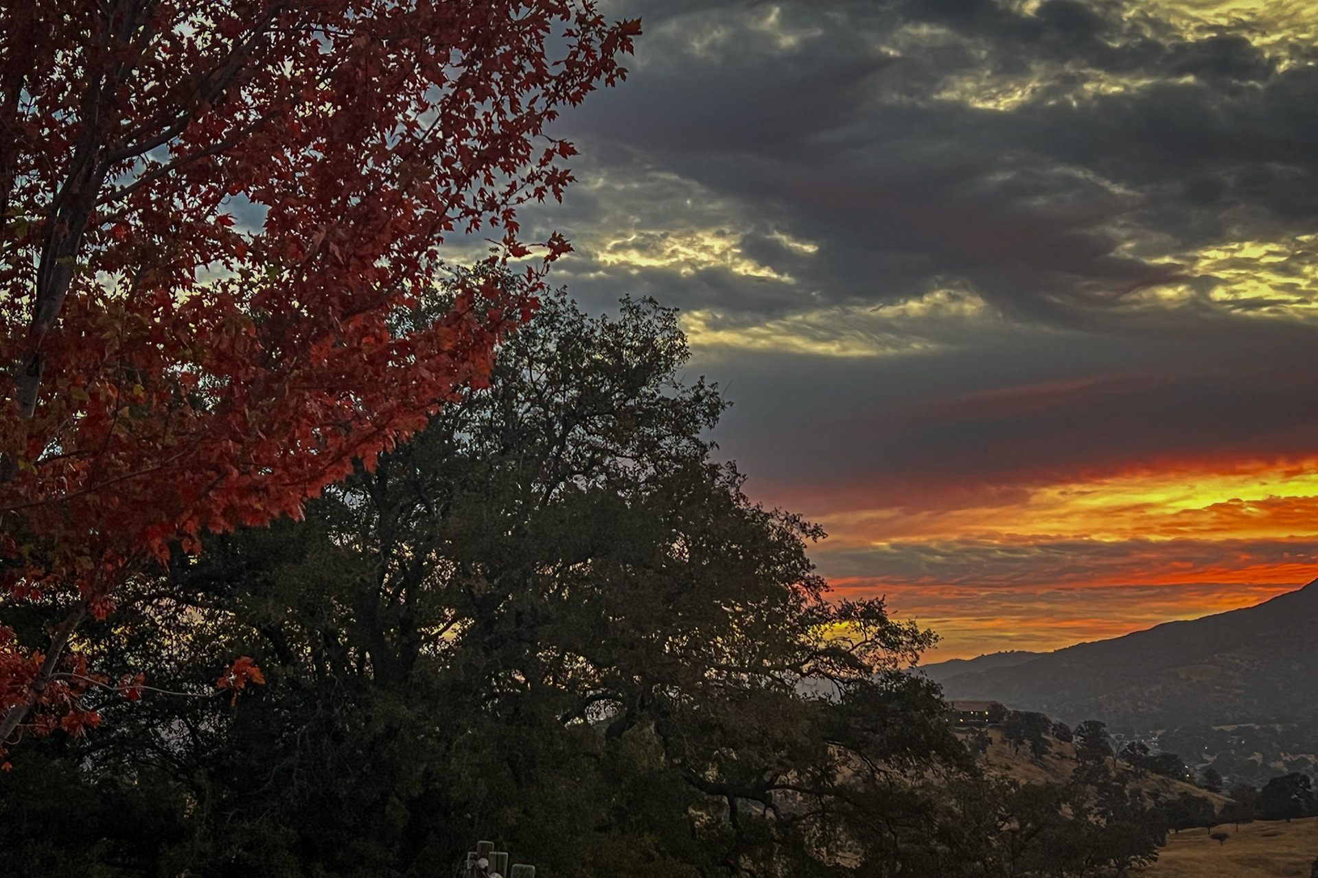 October Colors