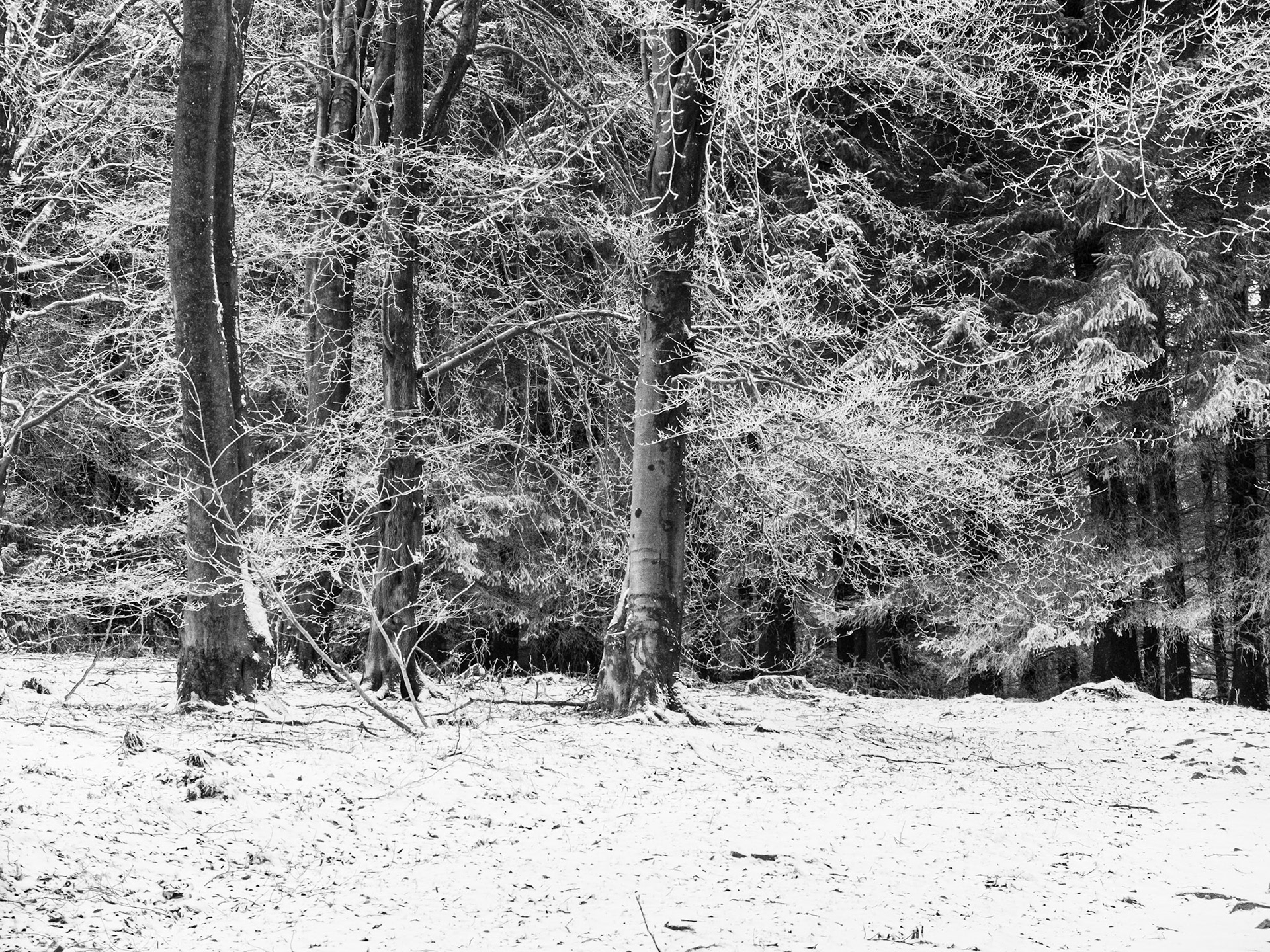 Brown Clee in winter