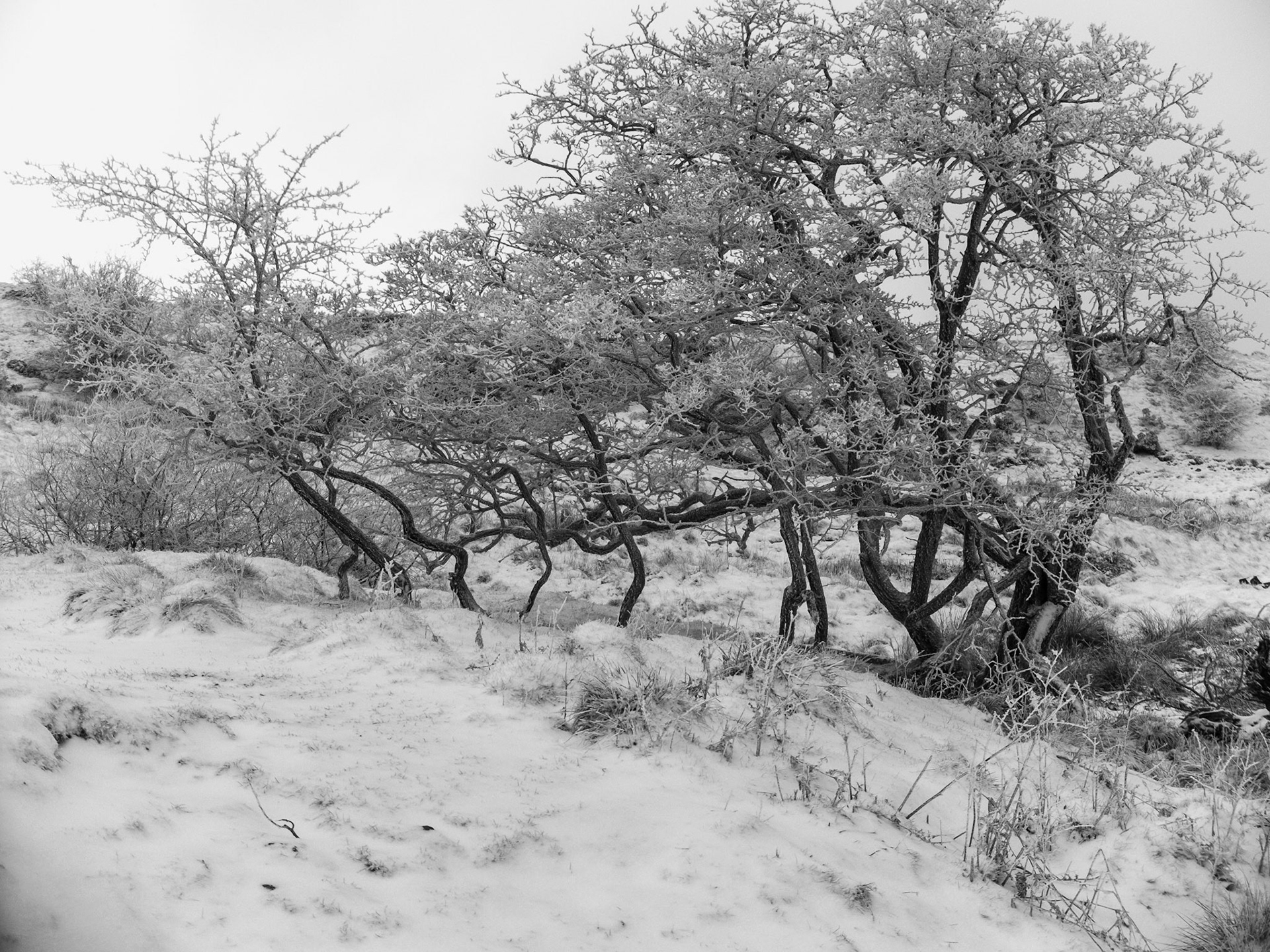 Brown Clee in winter