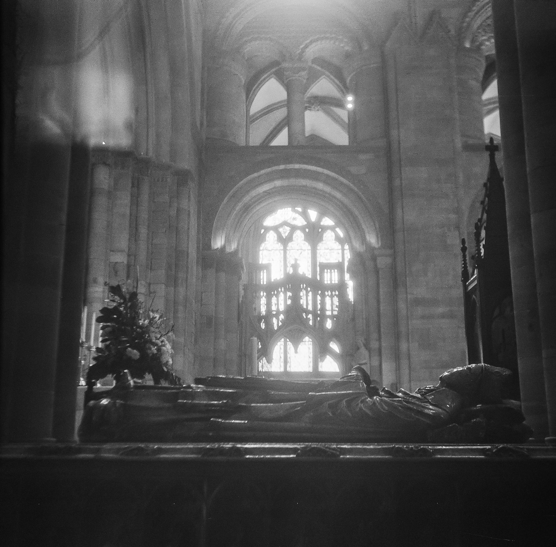 Taken with an ADOX Golf 63S Medium Format camera on Formapan Action 400 film