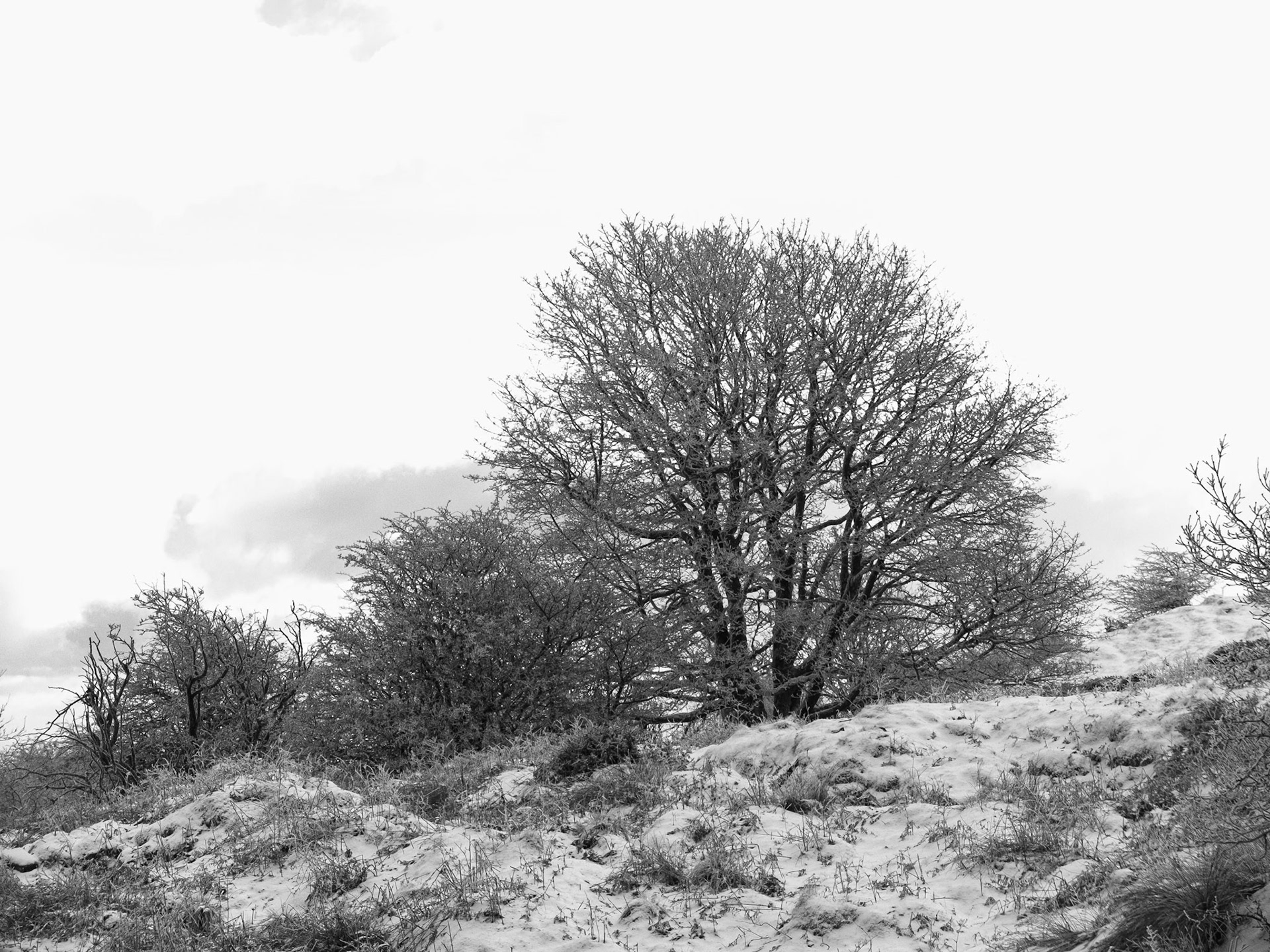 Brown Clee in winter