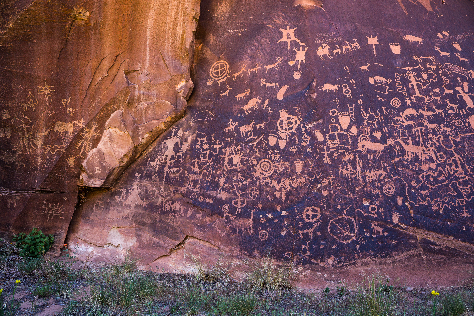 Newspaper Rock