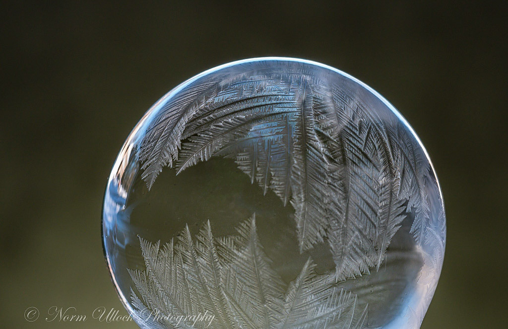 Frozen Bubbles