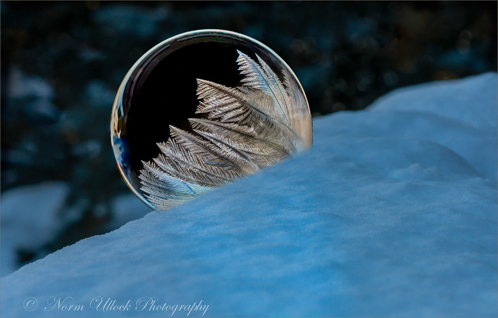 Frozen Bubbles