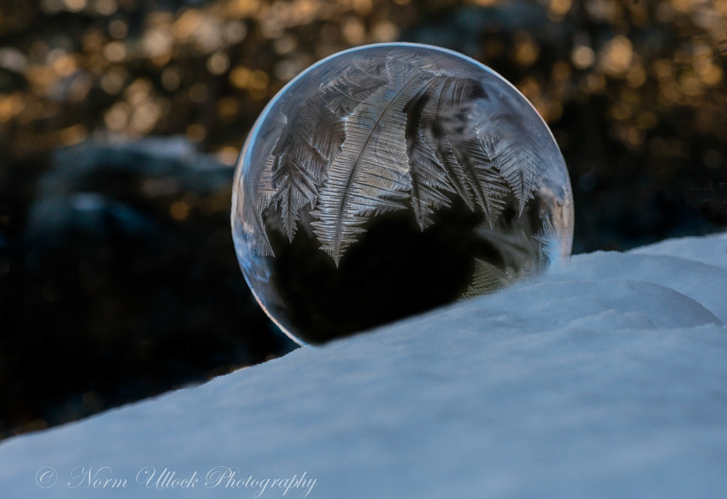 Frozen Bubbles