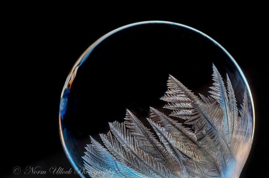 Frozen Bubbles