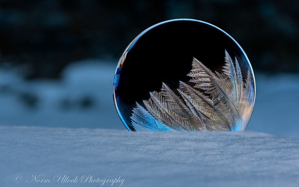 Frozen Bubbles