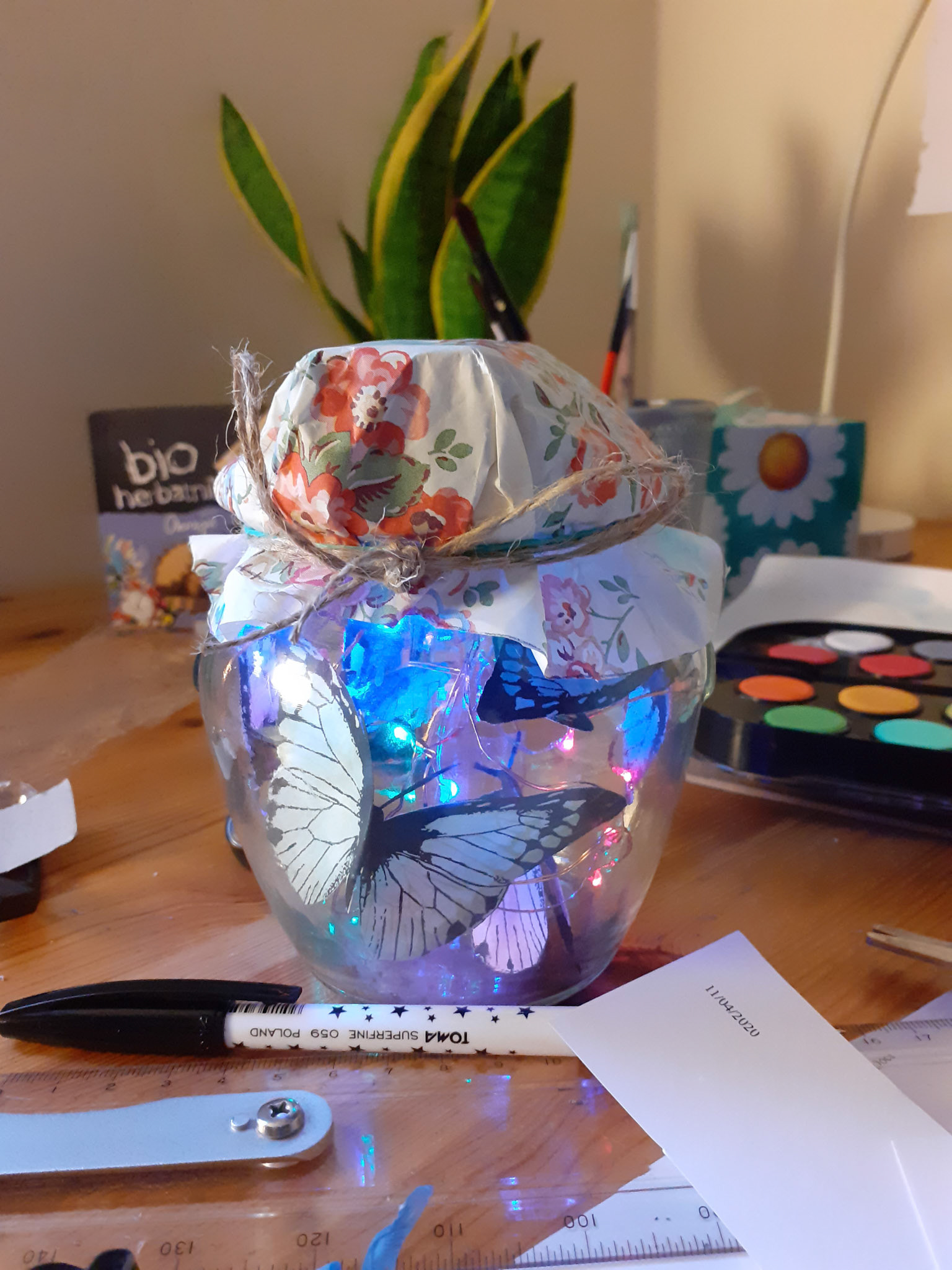 Butterfly Jar