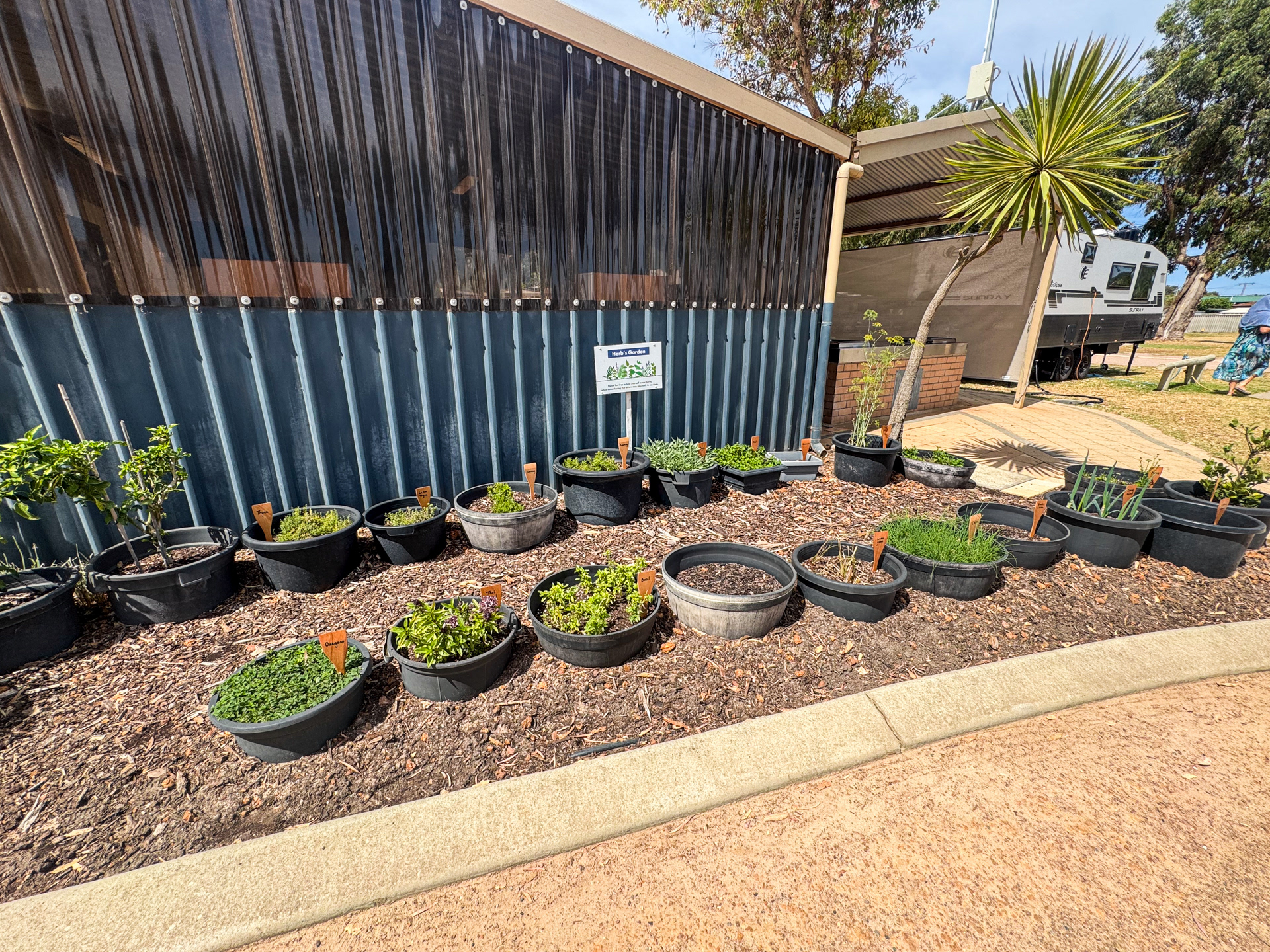 Herbs for free :)