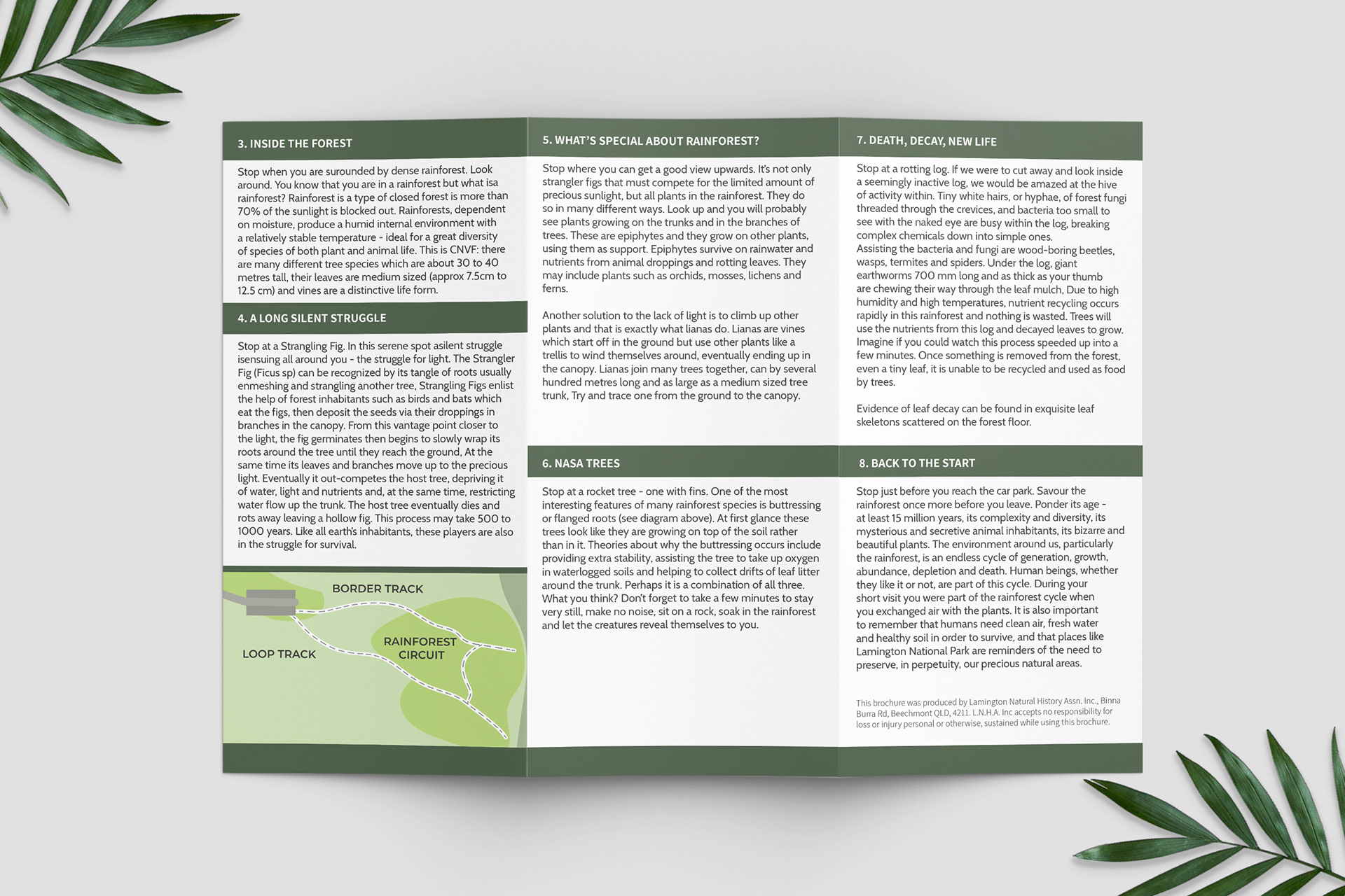 Rainforest Circuit Brochure - Inside