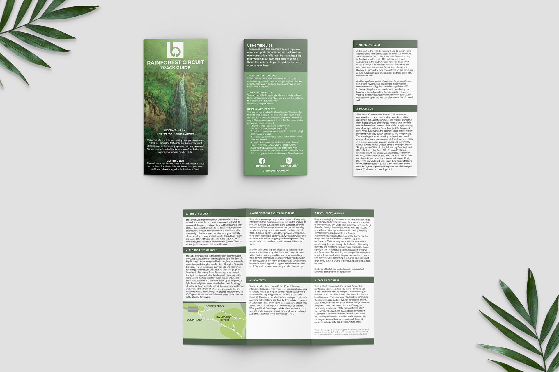 Rainforest Curcuit Brochure