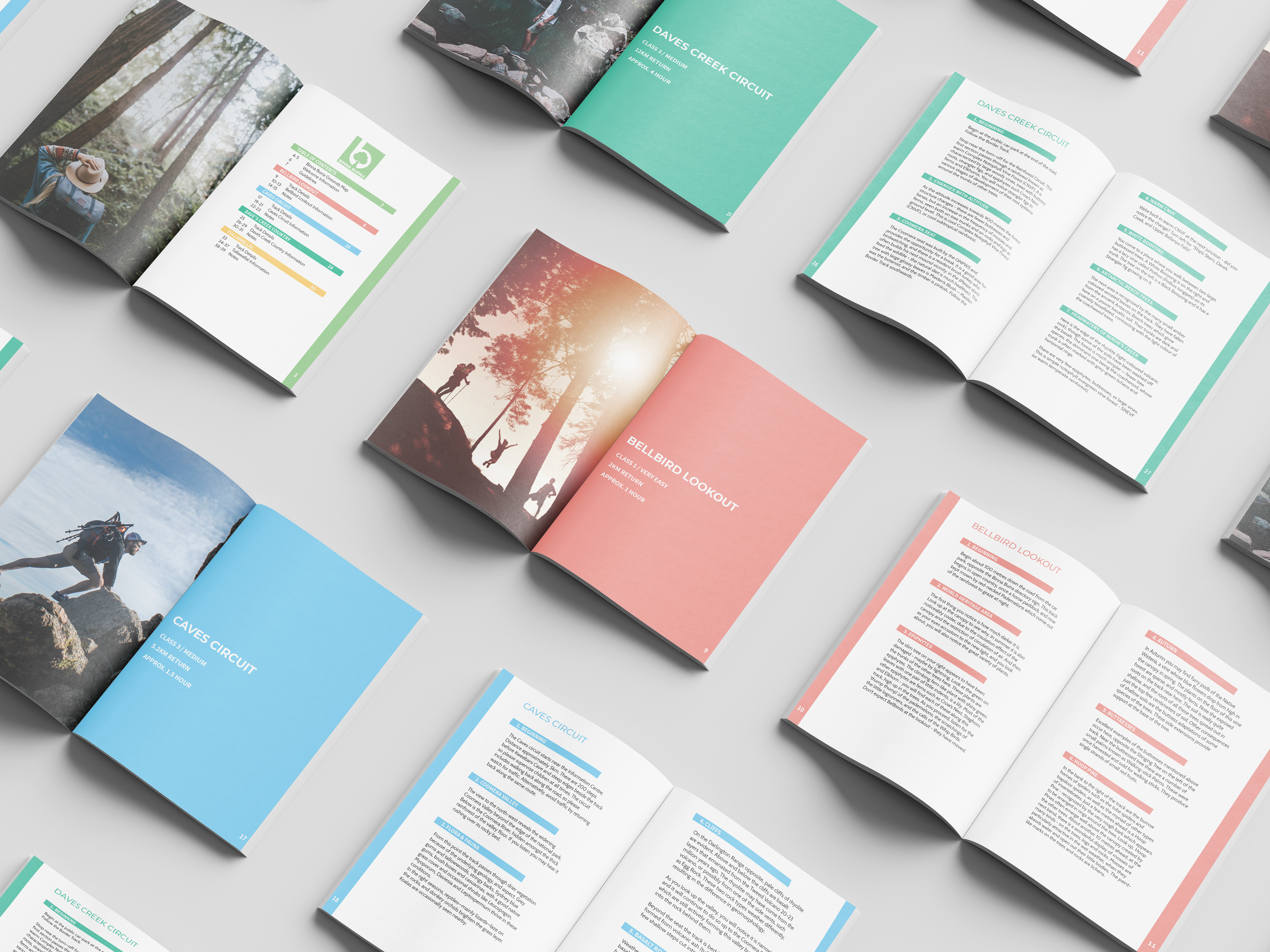 Binna Burra Track Guide booklet mockup open pages