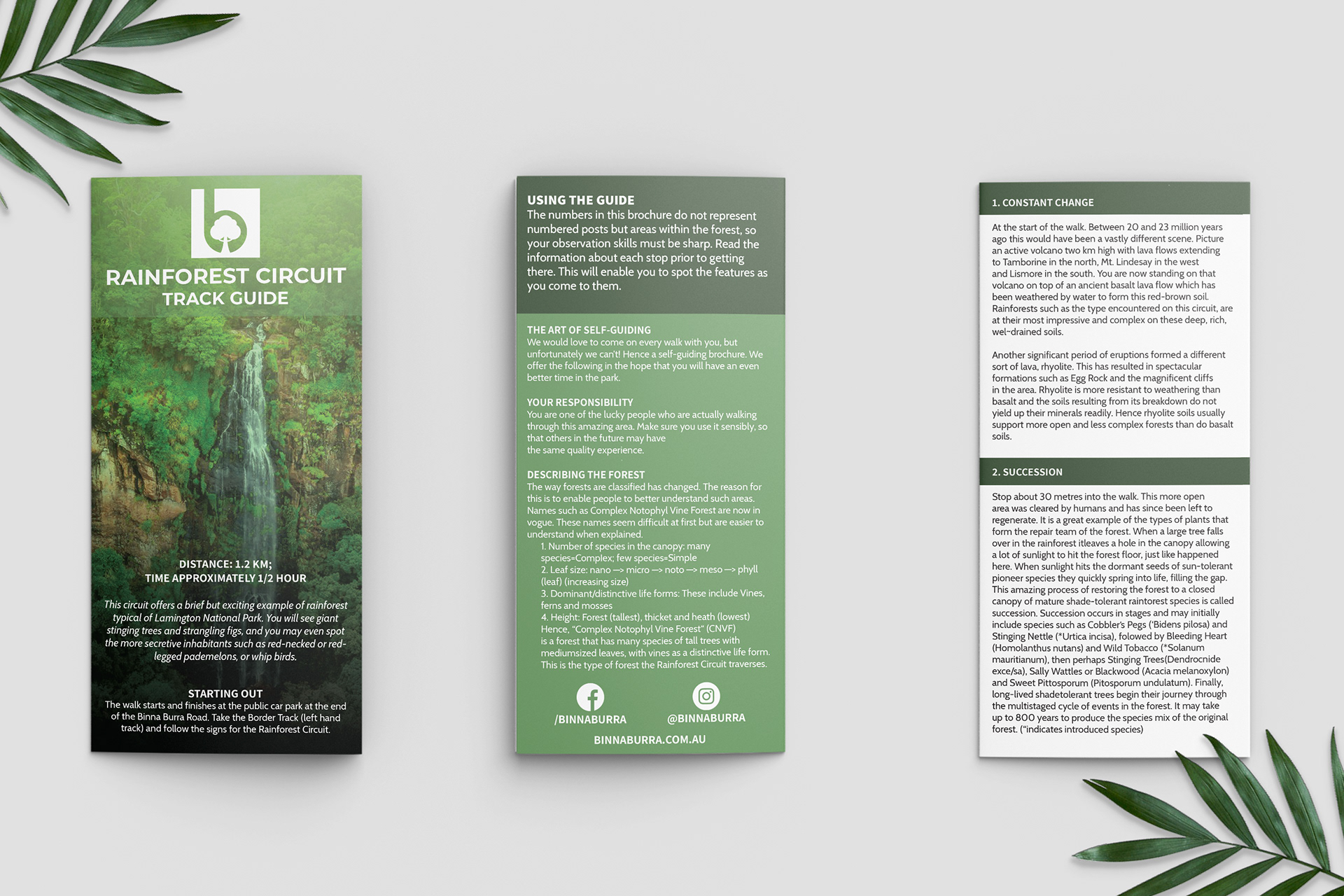 Rainforest Circuit Brochure - Outside