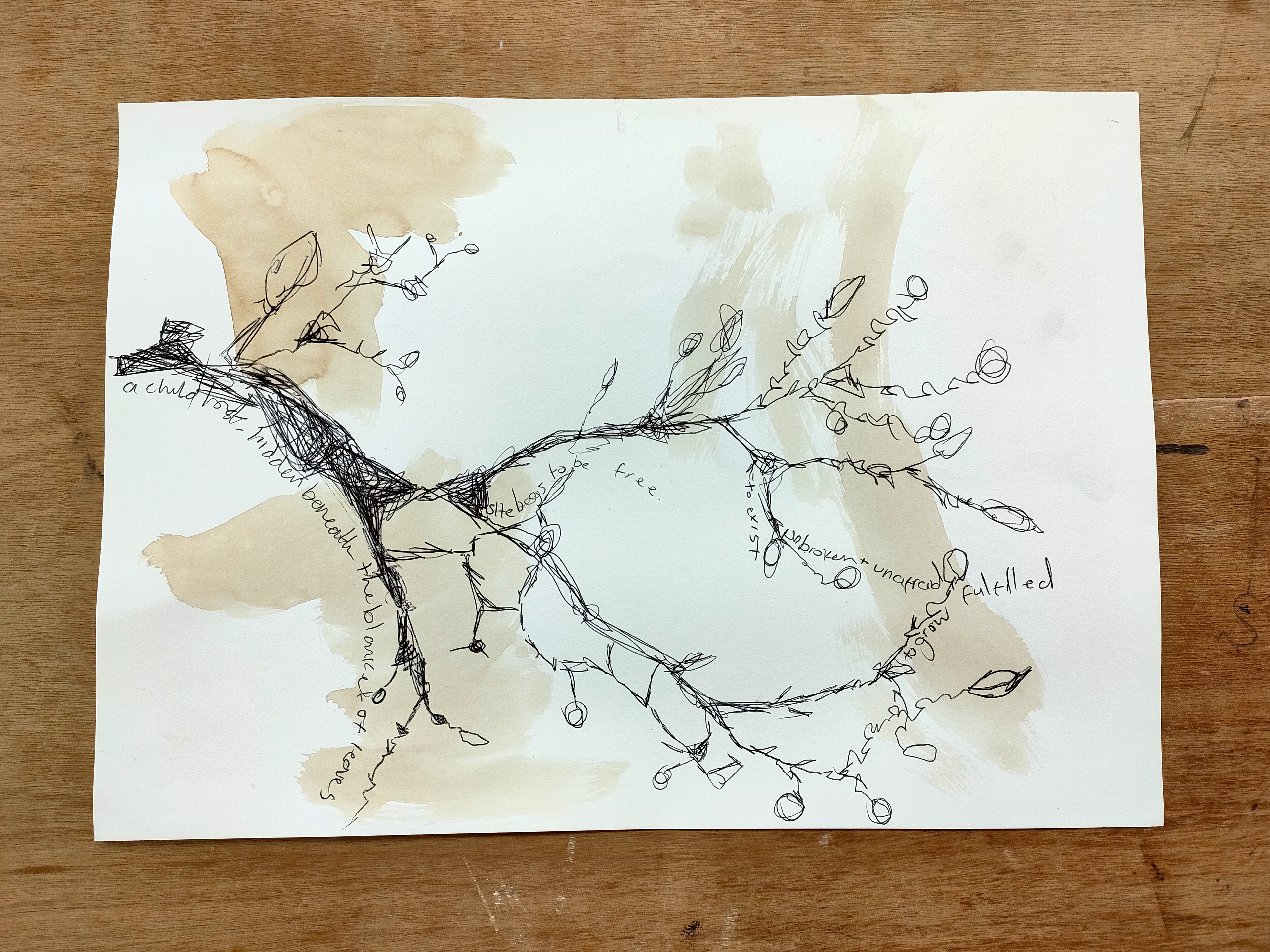 coffee stains, black biro