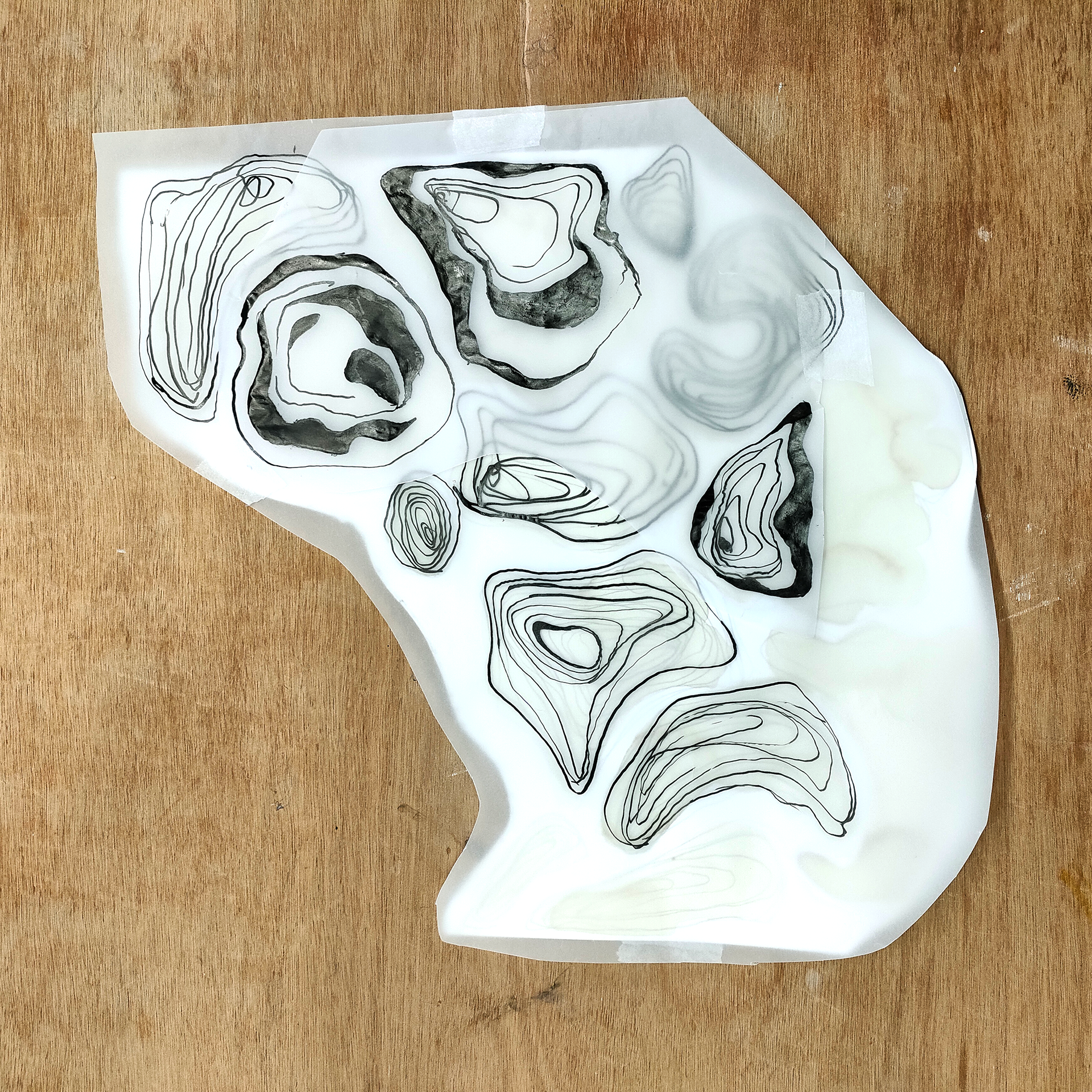 coffee stains, tracing paper, india ink