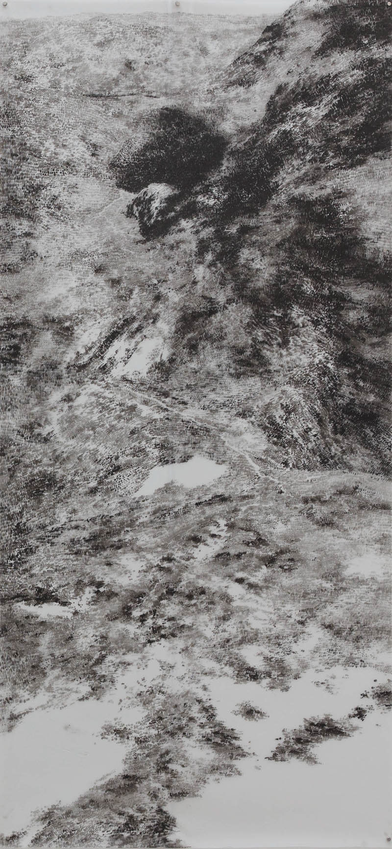 Mangerton / tuš na folii / 2019 / 222x105 cm