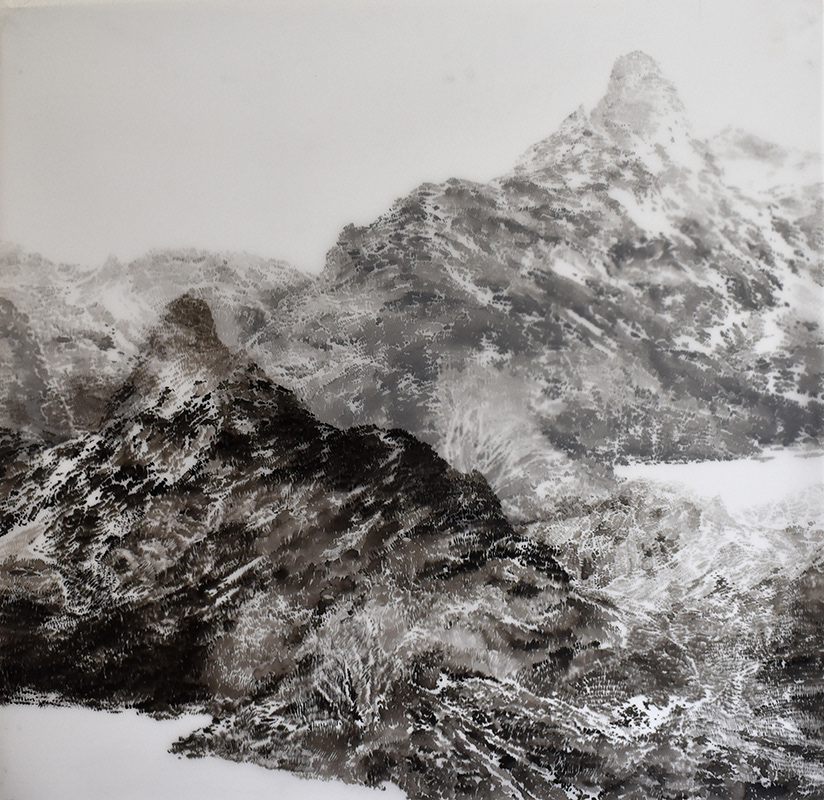 Bez názvu / tuš na folii / 2022 / 57,5x59 cm