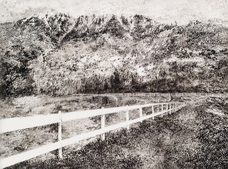 Velký plot / tuš na folii / 2017 / 87x115 cm