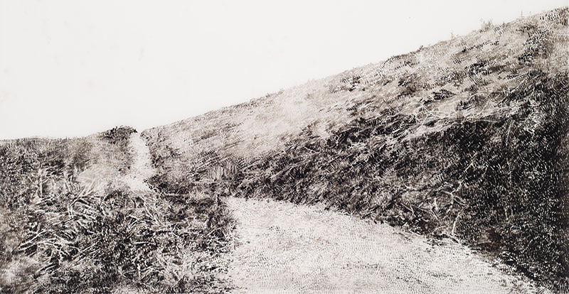 Šikmý horizont / tuš na folii / 2017 / 78,5x130 cm