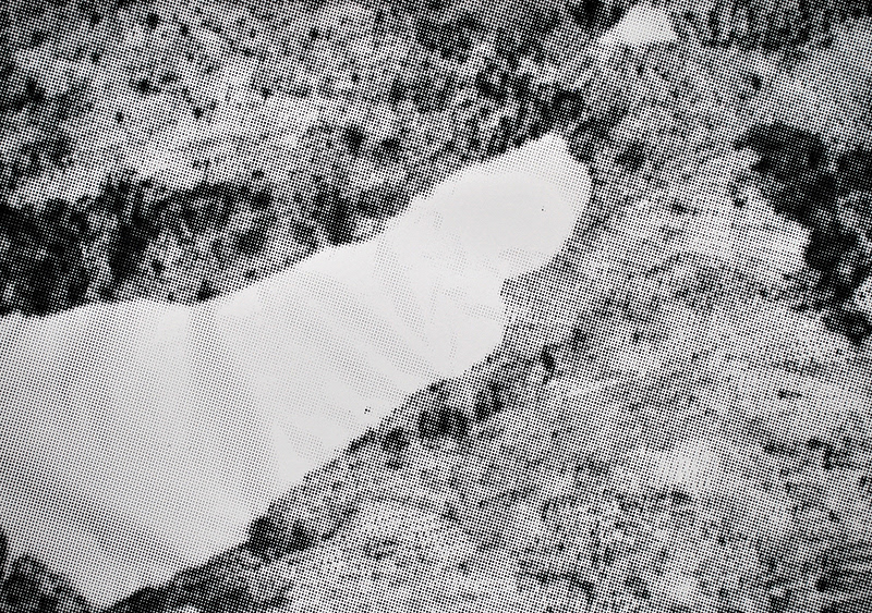 Jezero II. / sítotisk / 2016 / tisk 60x80 cm, list 70x100 cm