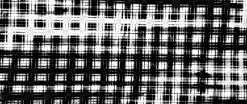 Rašeliniště I. / sítotisk / 2015 / 70x100 cm