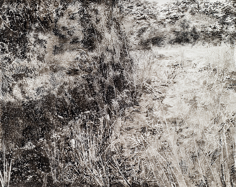 Irská zem / tuš na folii / 2017 / 105x84 cm