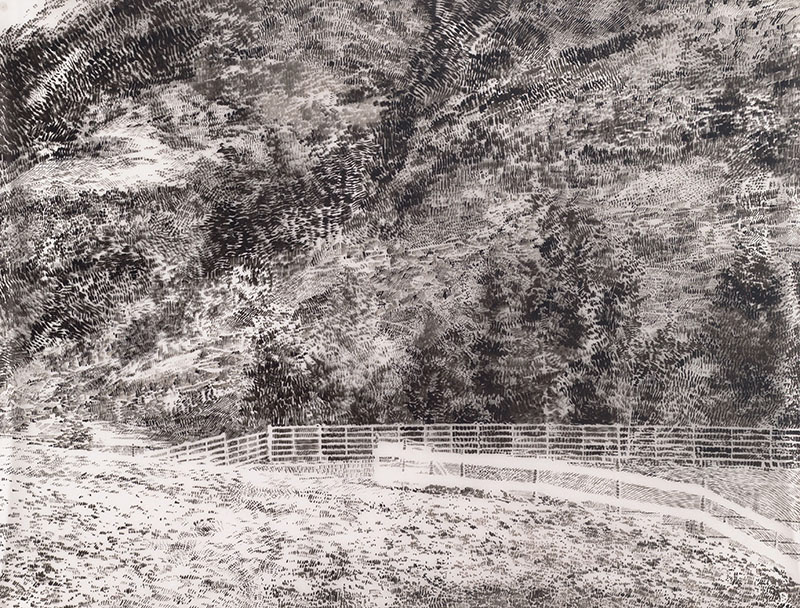 Alpy / tuš na folii / 2017 / 80x105 cm